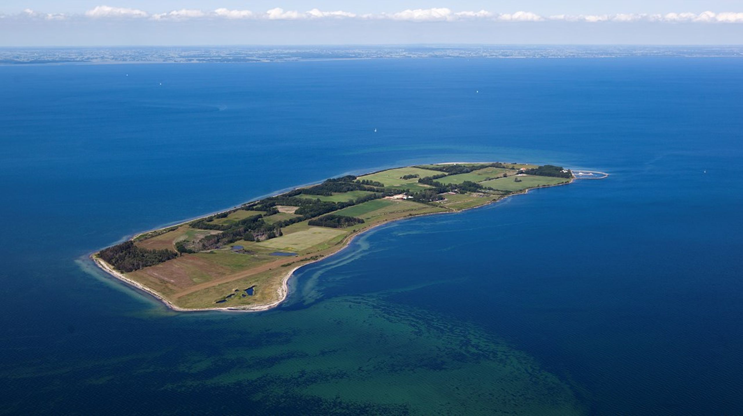 Det er en god ide at afsøge, om der kan bygges videre på de aktiviteter og den erfaring, Naturfonden har opbygget, fremfor at opbygge en ny fond fra bunden med overlappende opgaver, og med alt hvad dertil hører af organisationsudvikling, administration og vidensopbygning, skriver Den Danske Naturfond.<br>&nbsp;