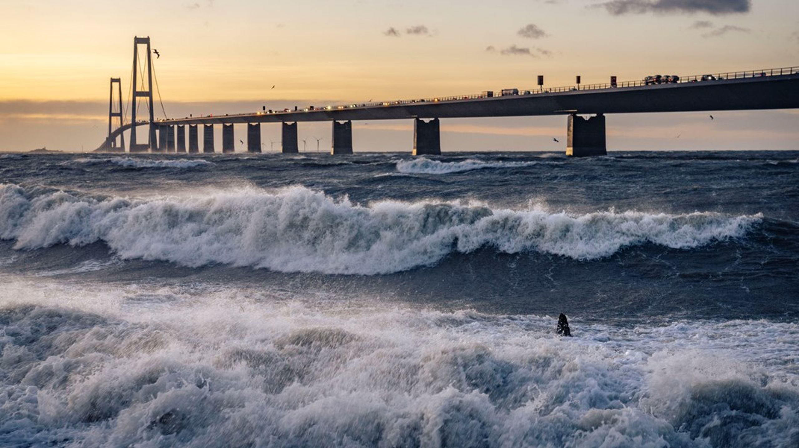 Maria Steno er ansatte nummer 600 i Sund &amp; Bælt,&nbsp;der varetager den overordnede styring af Storebælt, Øresundsbroen, Brobizz&nbsp;og Femern.