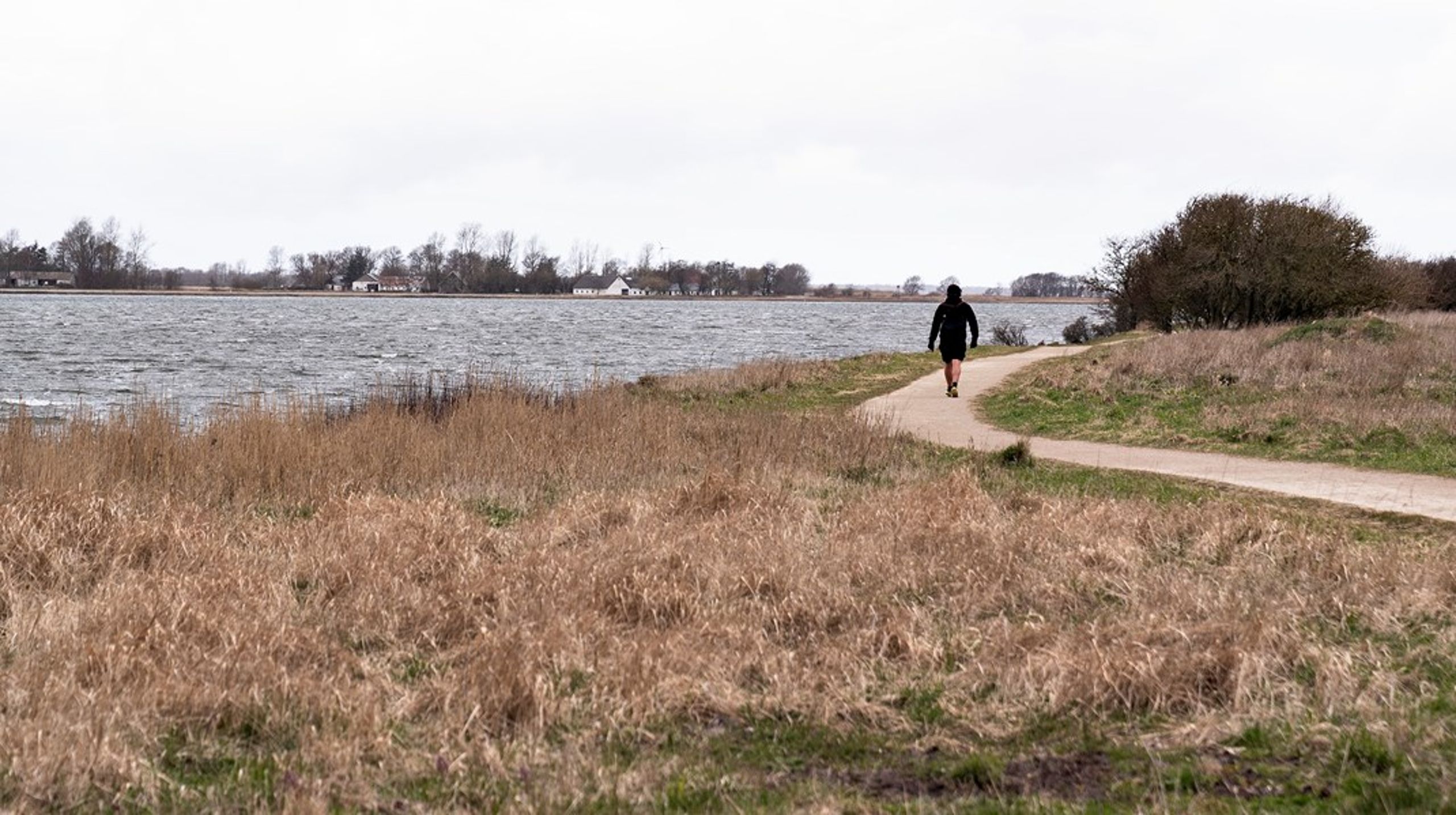 Den Tredje Limfjordsforbindelse skal løbe over øen Egholm, hvor der lever flere beskyttede arter. Nu har Vejdirektoratets nye svar om miljøpåvirkningen afblæst Miljøstyrelsens kritik.&nbsp;&nbsp;
