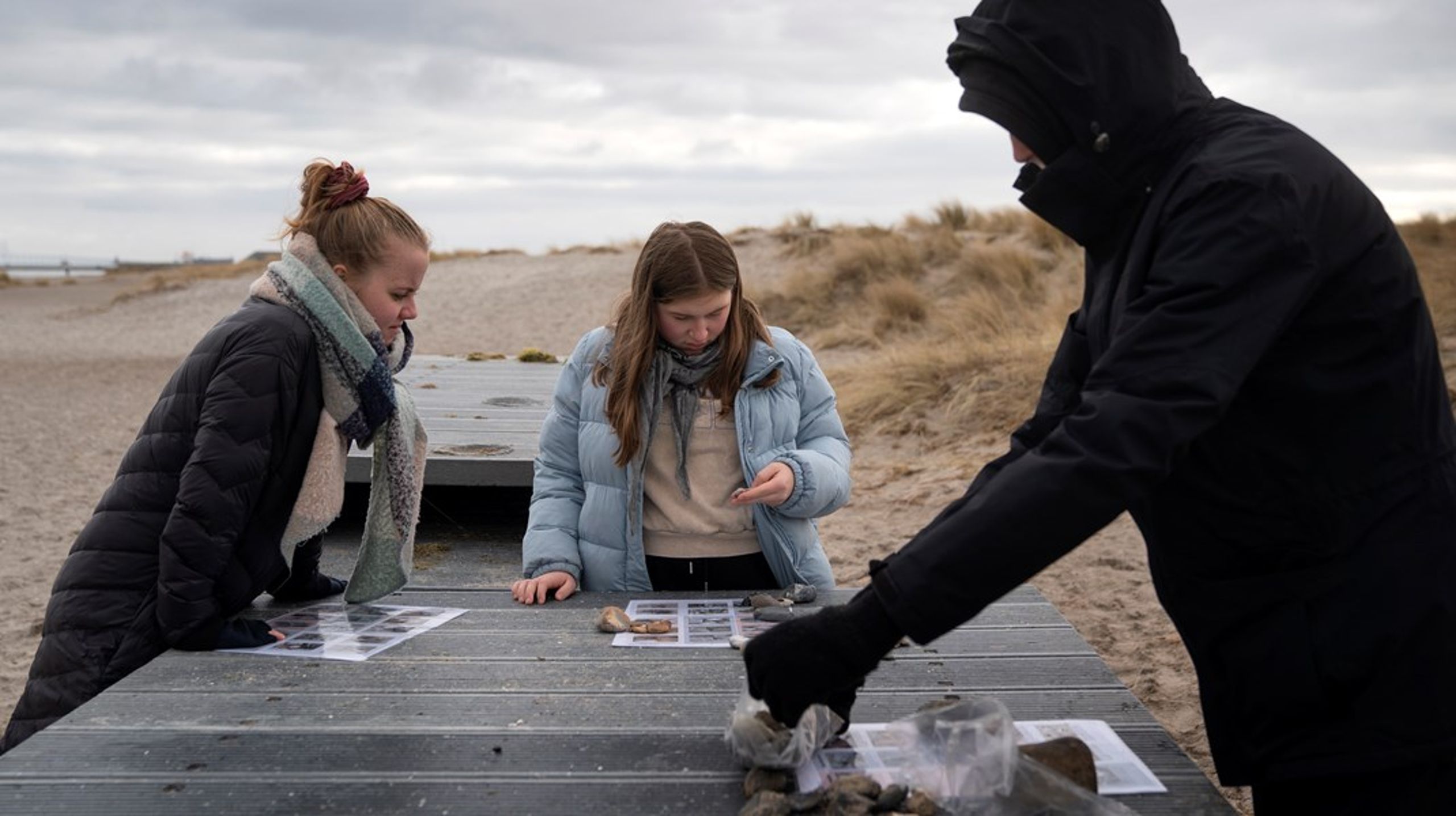 Det er bekymrende, at over en tredjedel af de 150 timer, der bliver skåret fra de mindste klasser i den nye aftale om folkeskolen, hentes fra naturfagene, skriver&nbsp;Rikke Schmidt Kjærgaard.&nbsp;