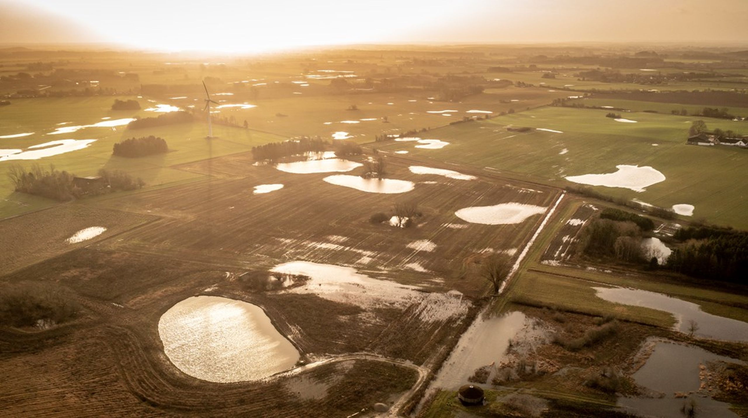 Klimarådet kommer med arealanalyse tirsdag.