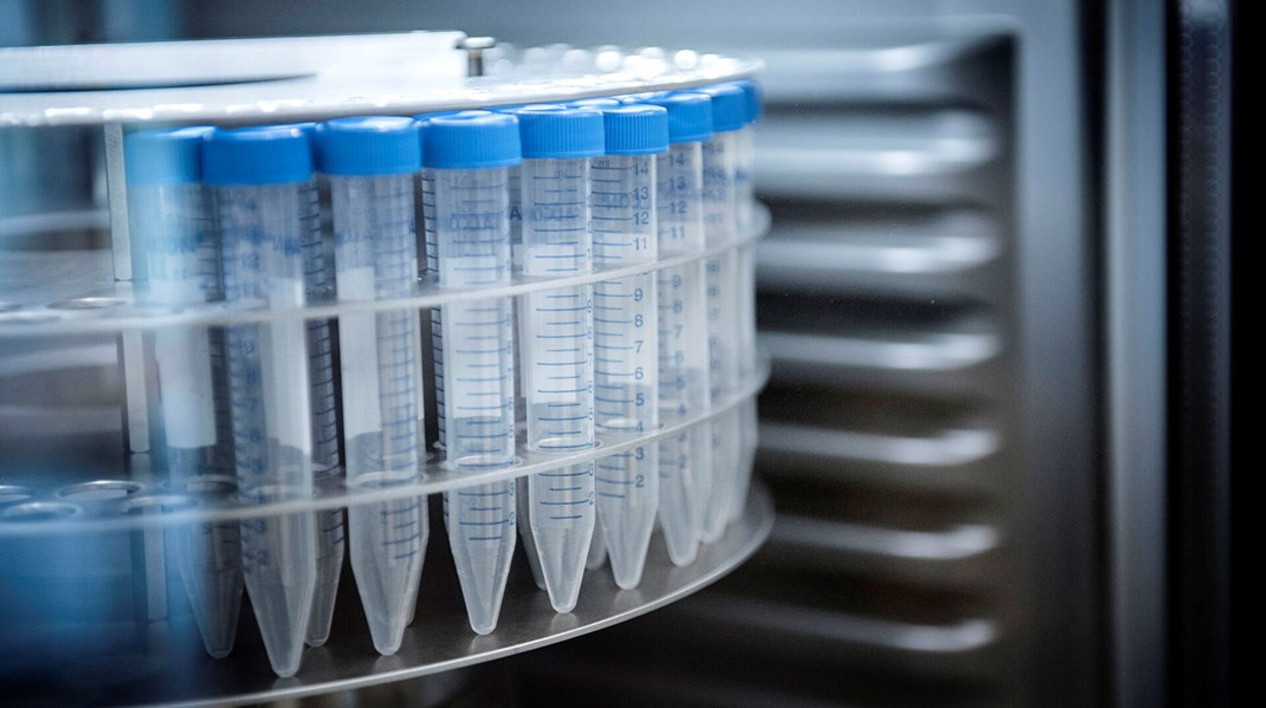 Vores erfaring er, at på bioteknologiområdet er nogle virksomheder udfordrede på grund af manglende kapacitet, og dermed er der risiko for, at deres udvikling bremses, skriver&nbsp;Ragnar Heldt Nielsen og Christian Clausen.