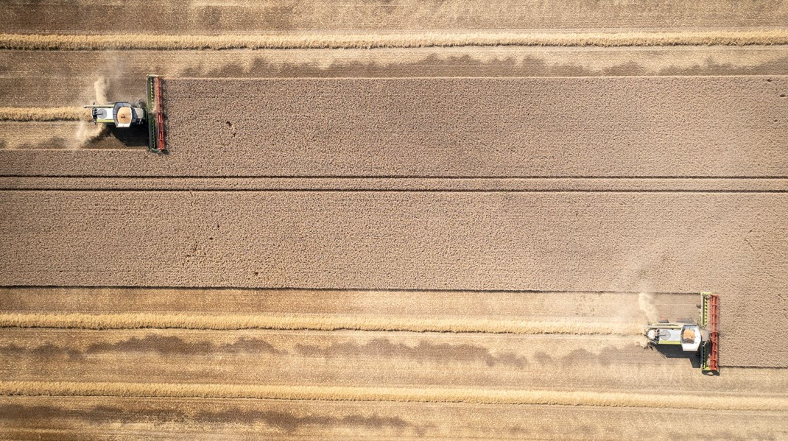 Der findes mange tilskudsordninger, som kan gøre det rentabelt at drive arealerne, samtidig med at der er plads til udvikling af biodiversitet, skriver&nbsp;Anna Worm.