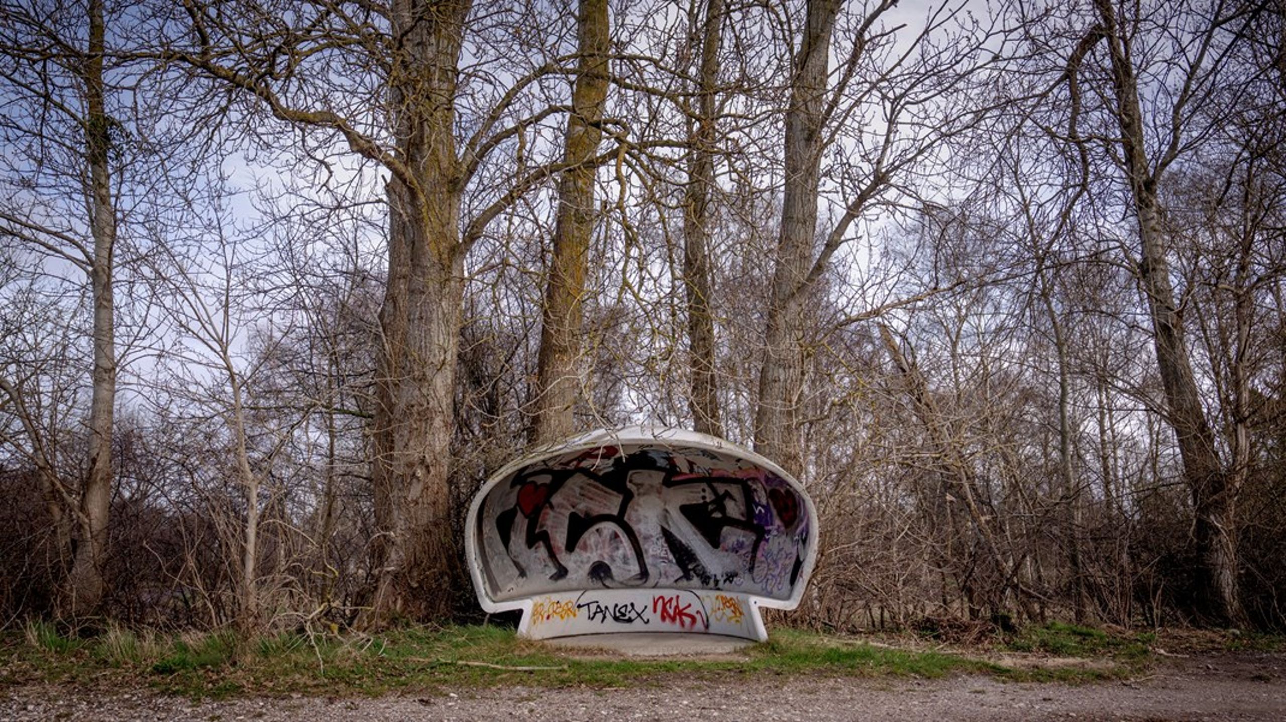 Regeringens ekspertudvalg er nedsat i erkendelse af risikoen for, at faldene passagergrundlag er ved at udhule den kollektive trafik i yderområderne.&nbsp;
