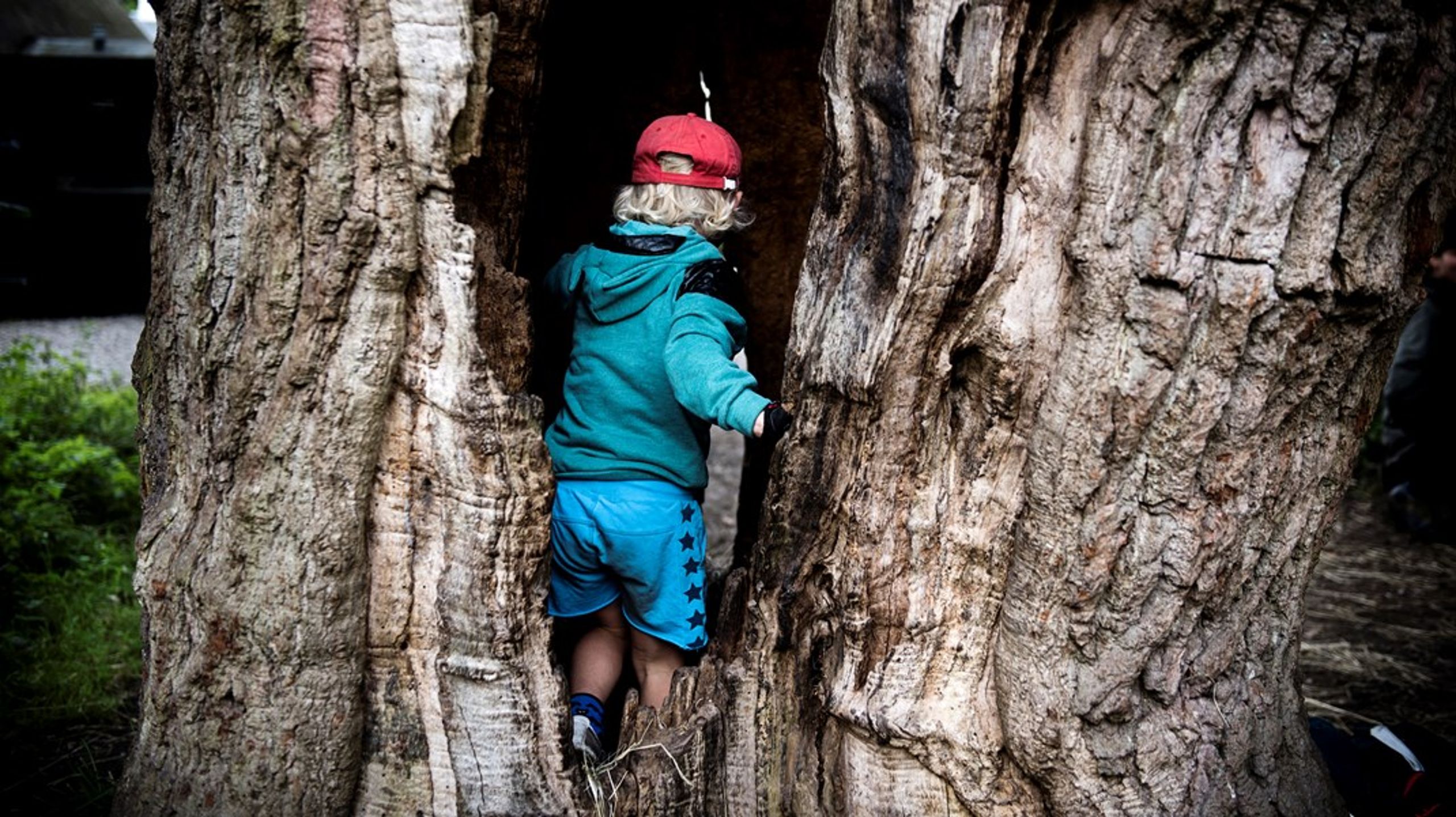 Hvordan kan det være, at man ønsker at lukke pædagogiske fyrtårne, når besparelserne ved det er ganske beskedne, skriver&nbsp;Annette Louise Foltmann.