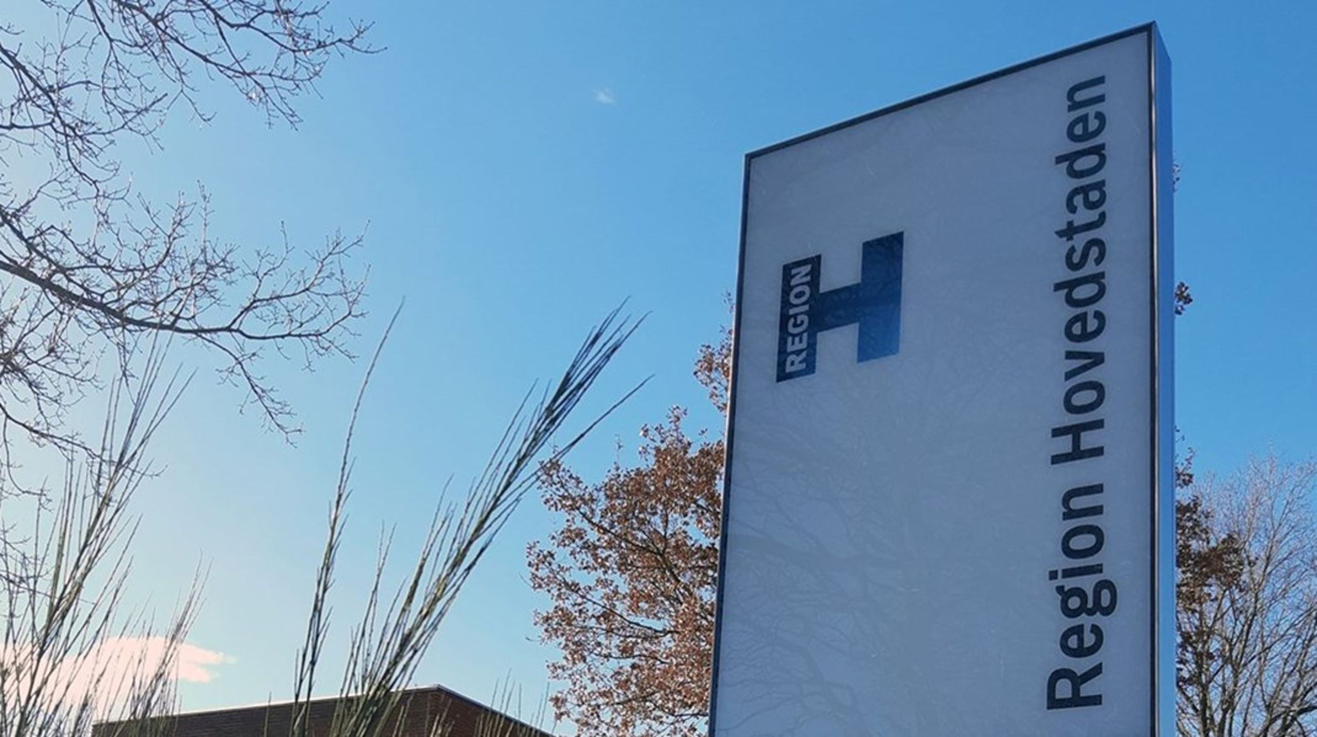 Tidligere direktør i Bornholms Kommune bliver ny vicedirektør i Center for Ejendomme,&nbsp;Region Hovedstaden.&nbsp;