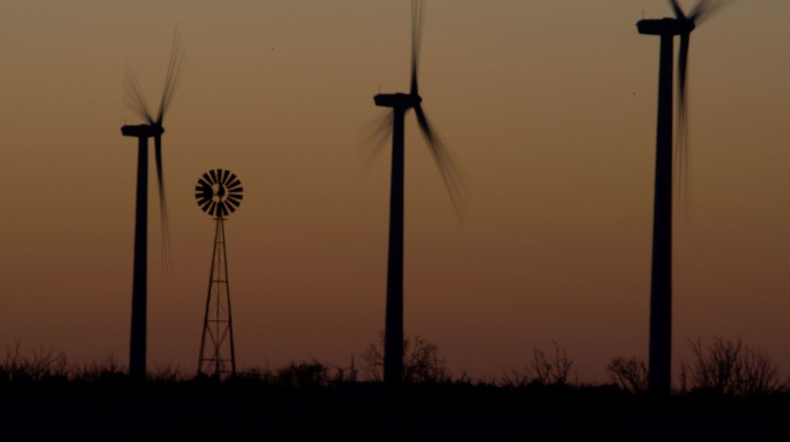 Hvis Donald Trump vinder, frygter flere af aktørerne en decideret global handelskrig, fordi han vil indføre højere toldmurer og tilbagerulle grønne politiske tiltag i USA.