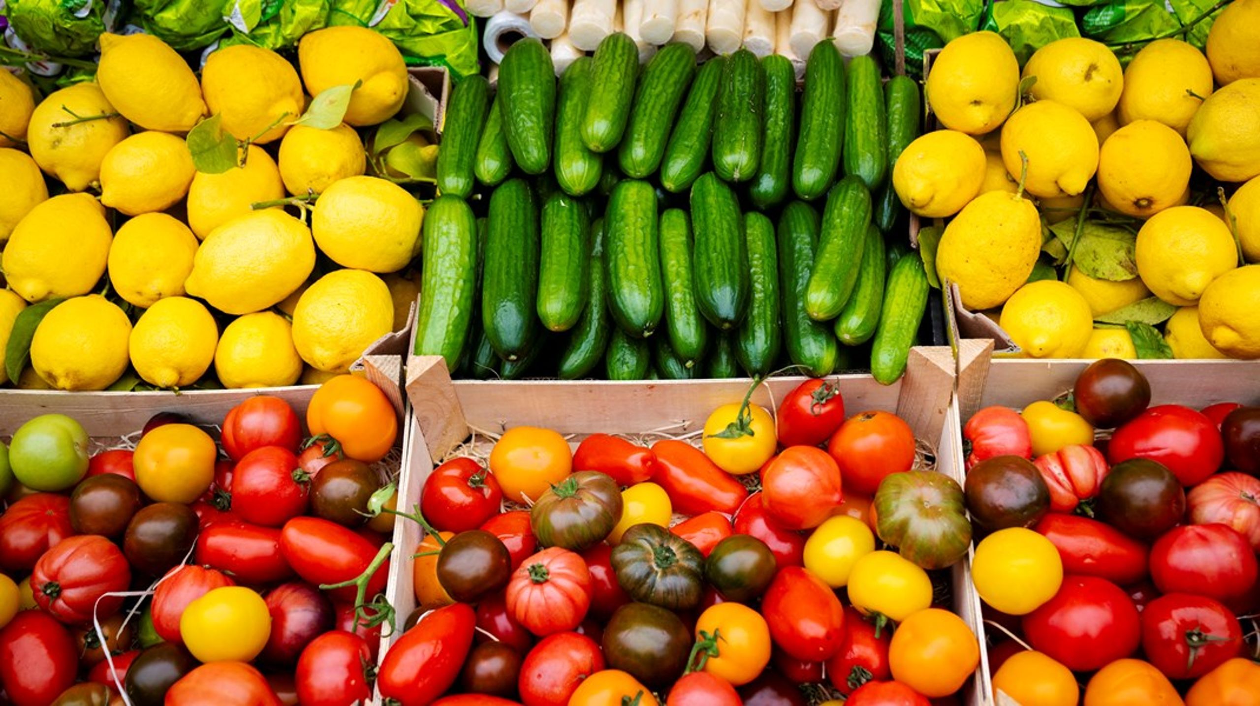 Kosten skal også indeholde mælkeprodukter i moderate mængder og fisk. Dette kræver, at alle bliver fortrolige med at lave grøntsagsbaserede måltider derhjemme, skriver forskerne.