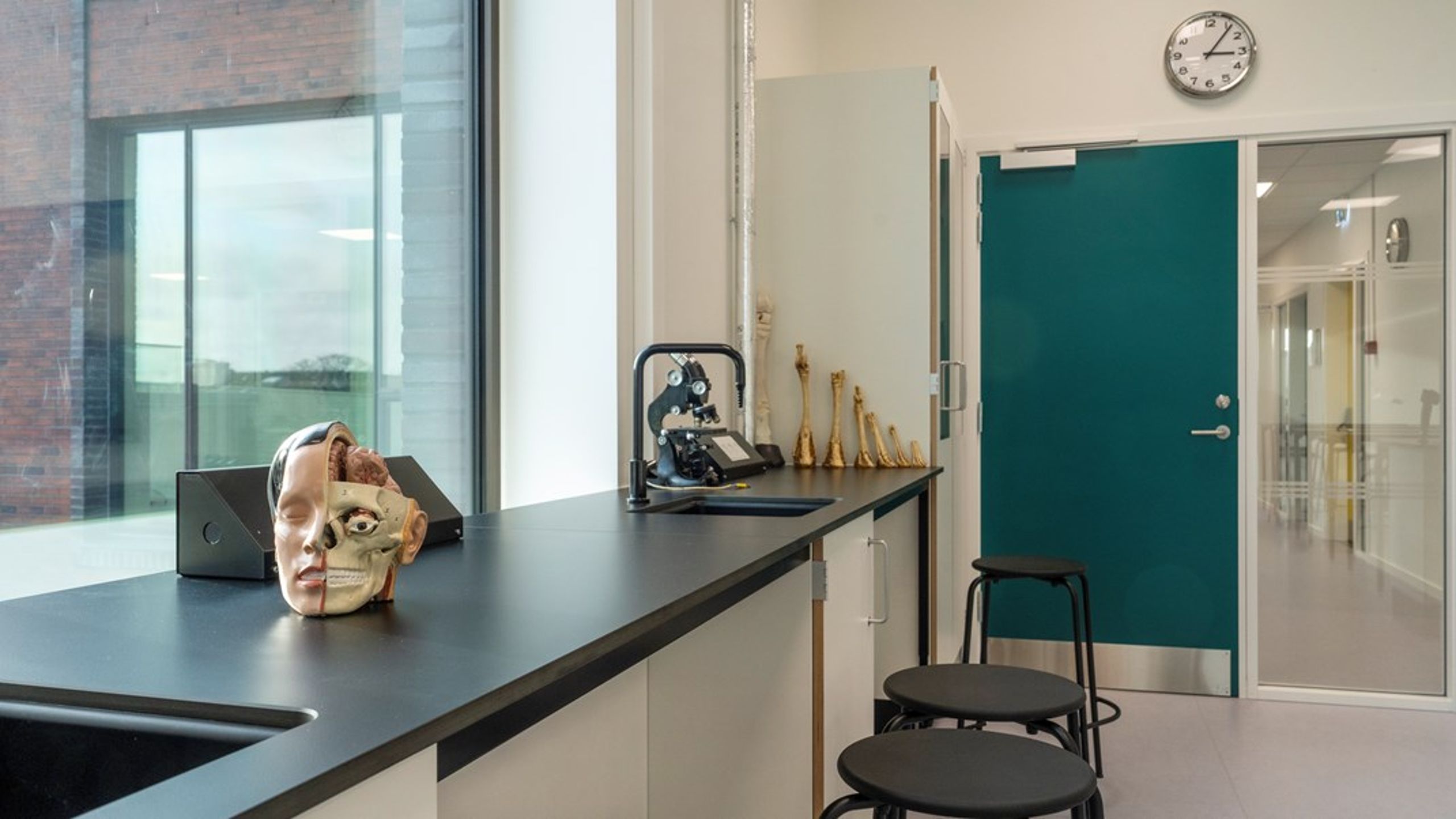 Elevtilstrømningen til stx samlet er stabil, men andelen der vælger bioteknologi eller fysik på a-niveau falder. Og den er især faldet de sidste fem år, skriver Nynne Afzelius.