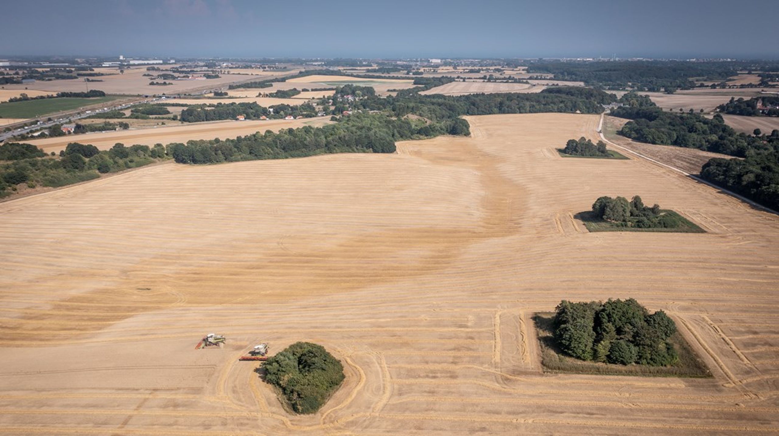 Nok ændrer den grønne trepartsaftale den samlede arealanvendelse i Danmark, som der står i den politiske aftale, hvis det altså lykkes at tage så store arealer ud af produktionen, som det er hensigten, men den omstiller ikke landbruget, skriver Sybille Kyed.<br>