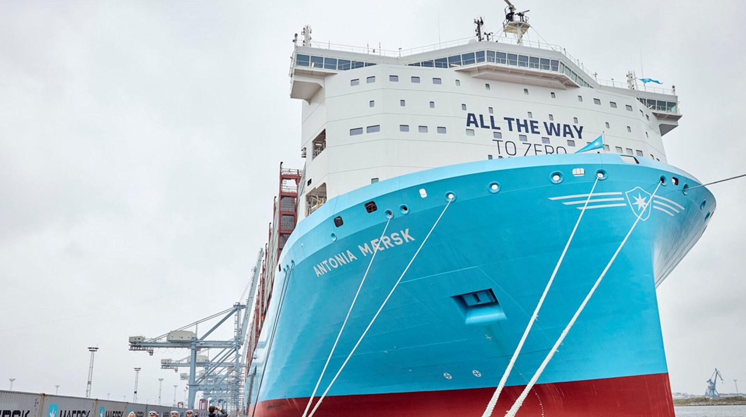 Det nye skib i Maersk-flåden. Antonia Maersk sejler på grøn metanol. I Japan afprøver shipppingbranchen noget så gammeldags og alligevel nyt som at sejle med vindkraft i forsøget på at nedbringe CO2-udledningerne.&nbsp;