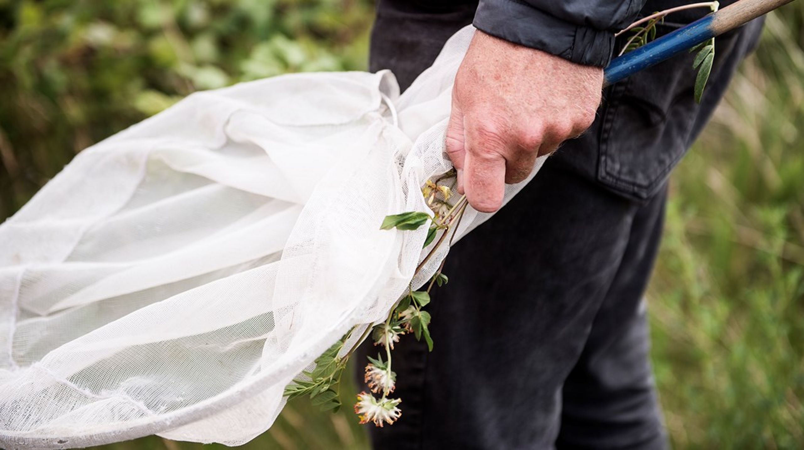 Med Ejsings bog i bagkataloget, kan det være, at jeg husker at behandle vores blommetræ med større omsorg næste år.
I hvert fald har han gjort sit for at åbne mine øjne for en ny(materialistisk) tilgang til verden, skriver Jesper Dalgaard Pøhler.