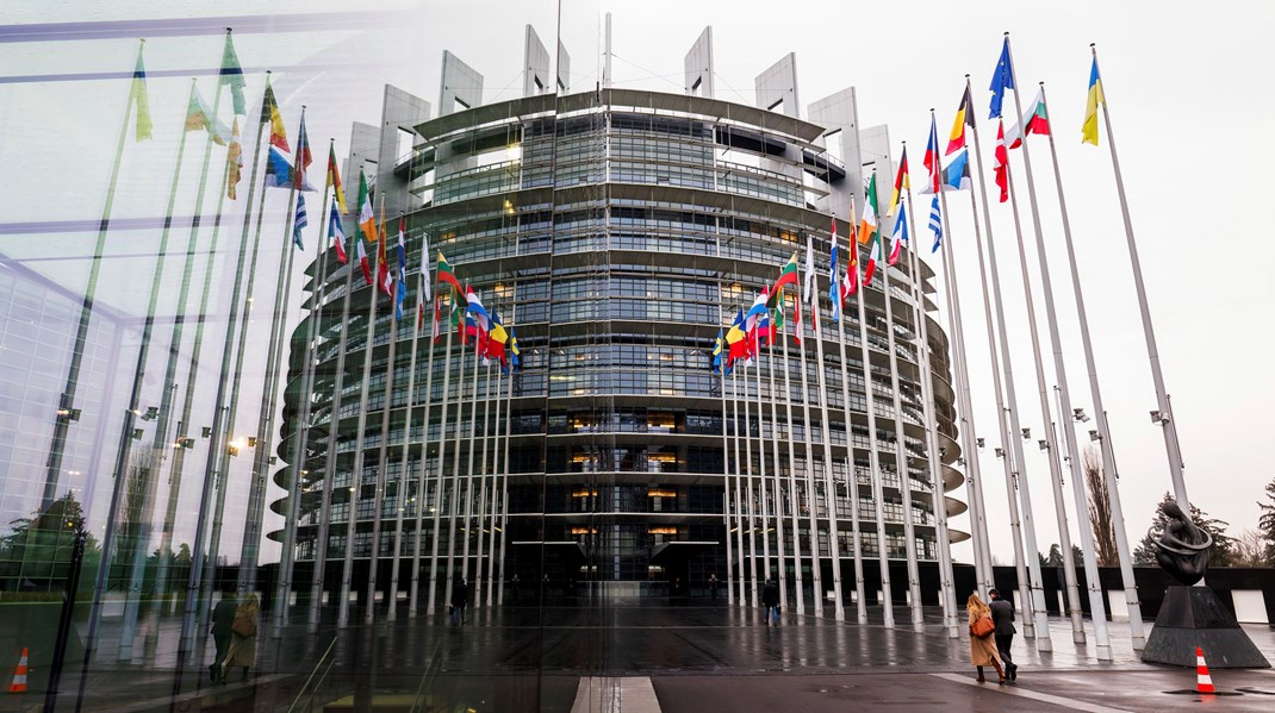 De to danske repræsentanter skal blandt andet deltage i møder til EU-ungdomsdialogen.