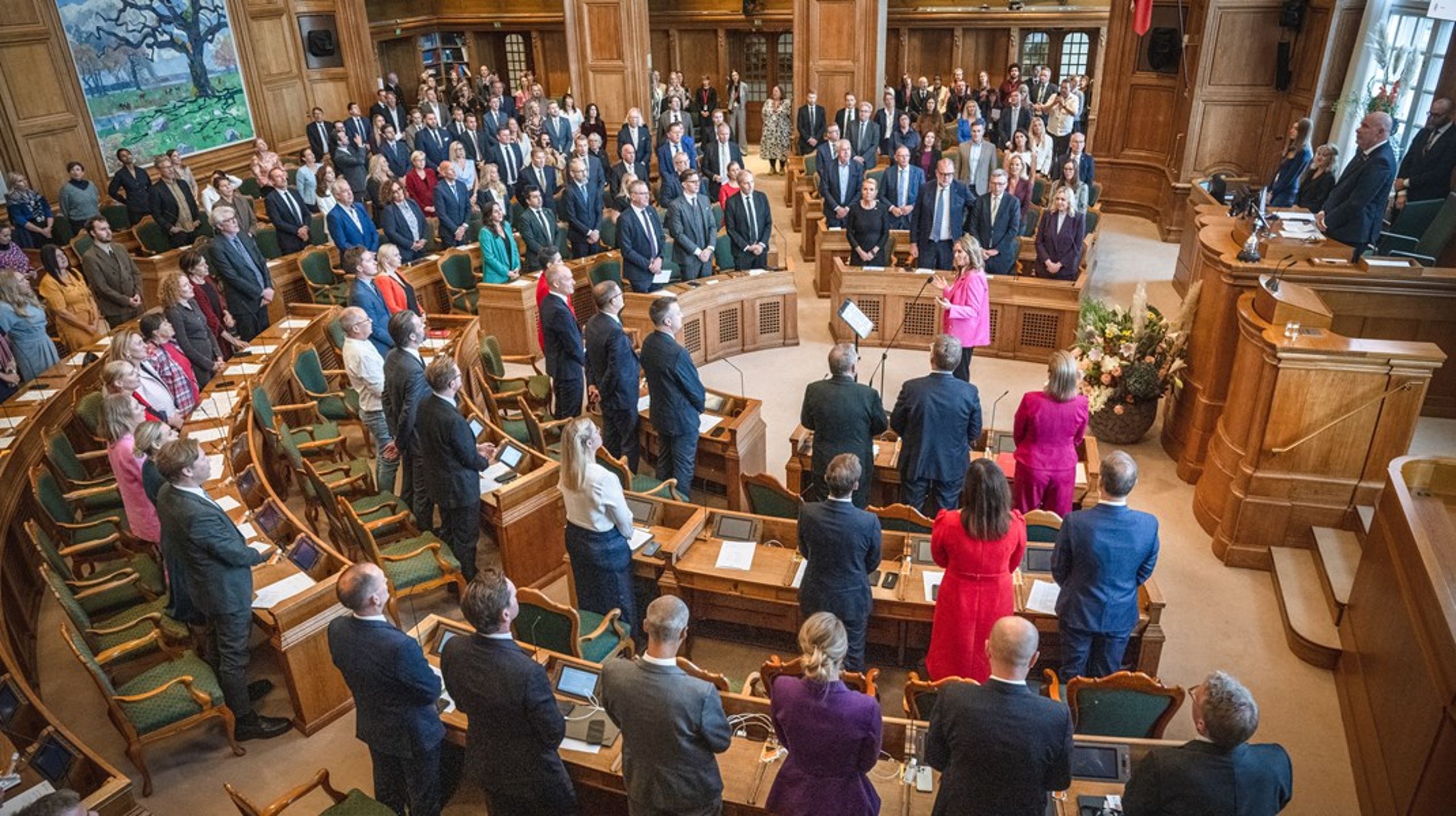 Folketinget skal stemme for retsudvalgets indstilling af ombudsmand.