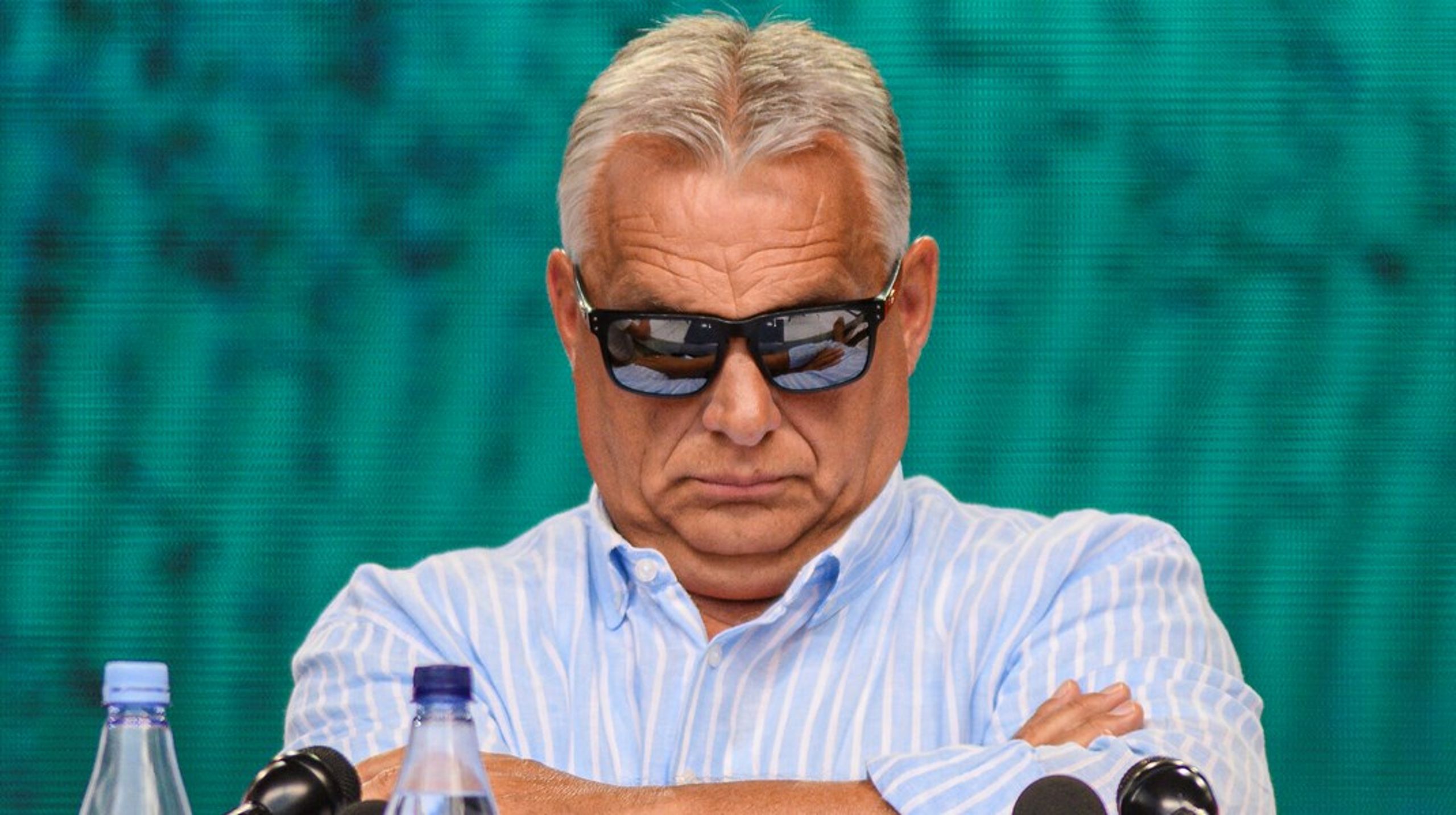 Hvis du vil have succes i det ungarske erhvervsliv, skal du holde dig på god fod med Viktor Orbán, skriver Vibe Termansen.