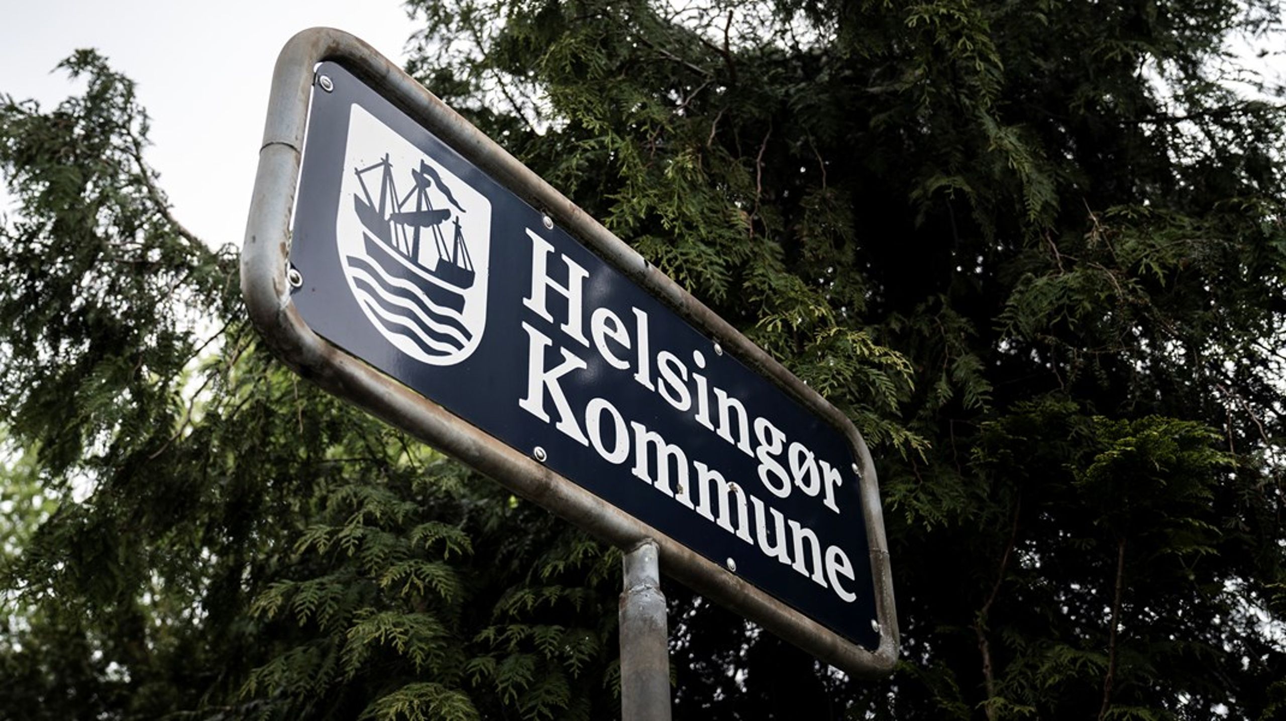 Som redaktør ved&nbsp;Sjællandske Nyheder dækkede&nbsp;Susanna Arpi&nbsp;kommunerne Helsingør, Fredensborg og Hørsholm.
