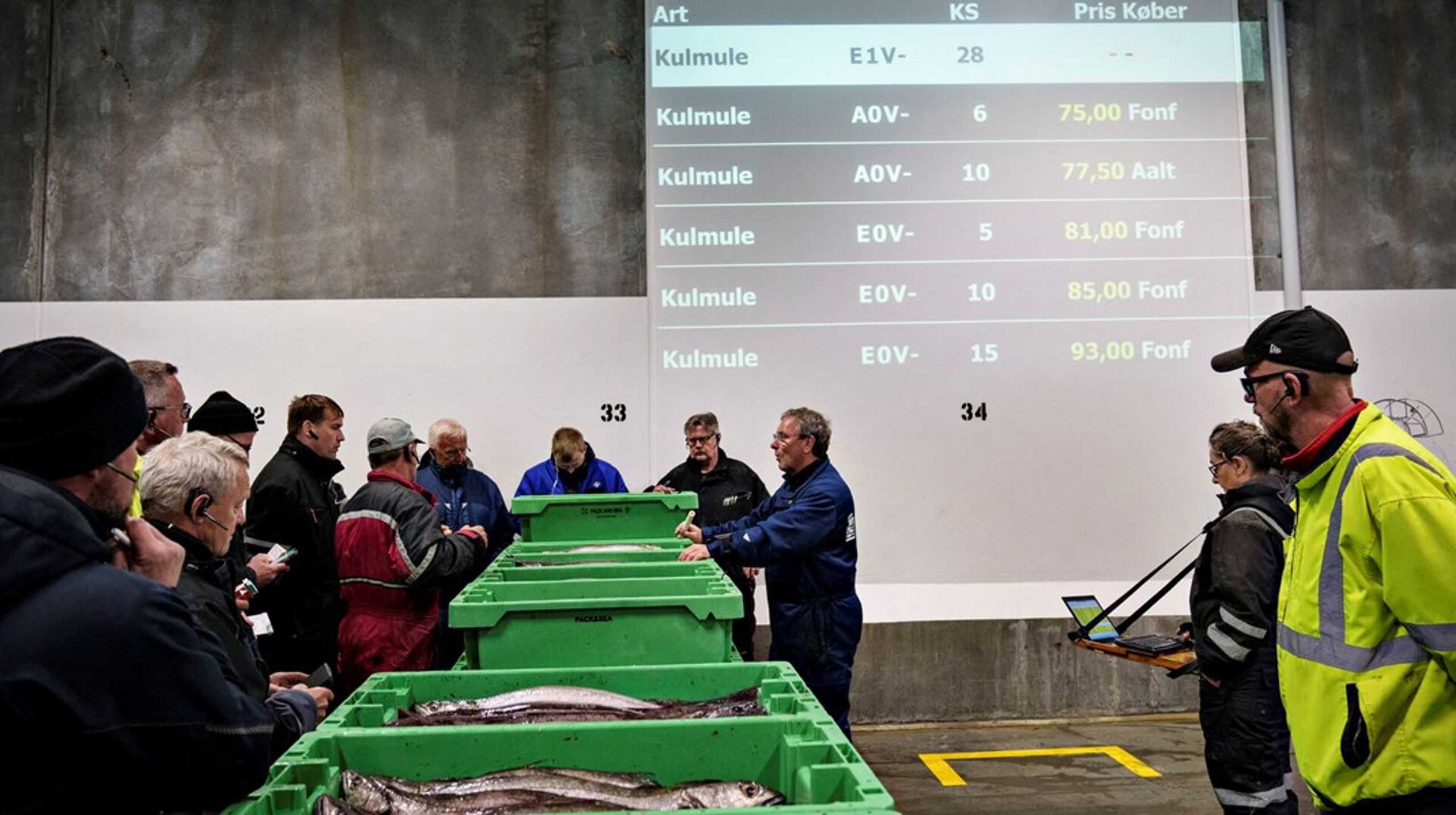 Billedet af udviklingen i landingerne af konsumfisk er mudret, konkluderer forskerne, mens tallene taler et tydeligt sprog om fald i landingerne af industrifisk fra såvel danske som udenlandske fiskere.