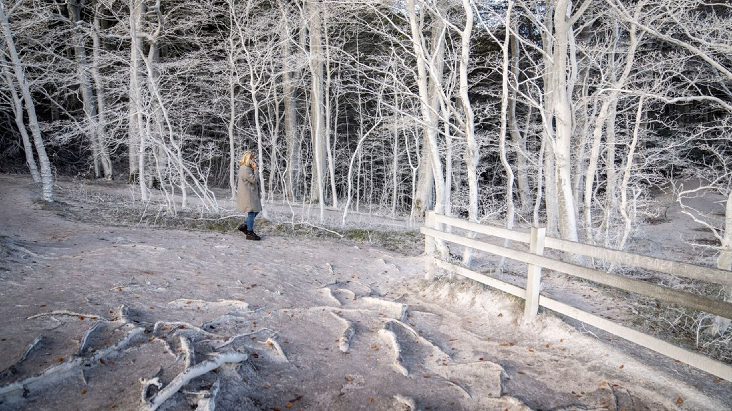 Naturstyrelsen vil gennem en arkitektkonkurrence få udviklet et helt nyt koncept for trappen 'Røde Udfald' ved Møns Klint.