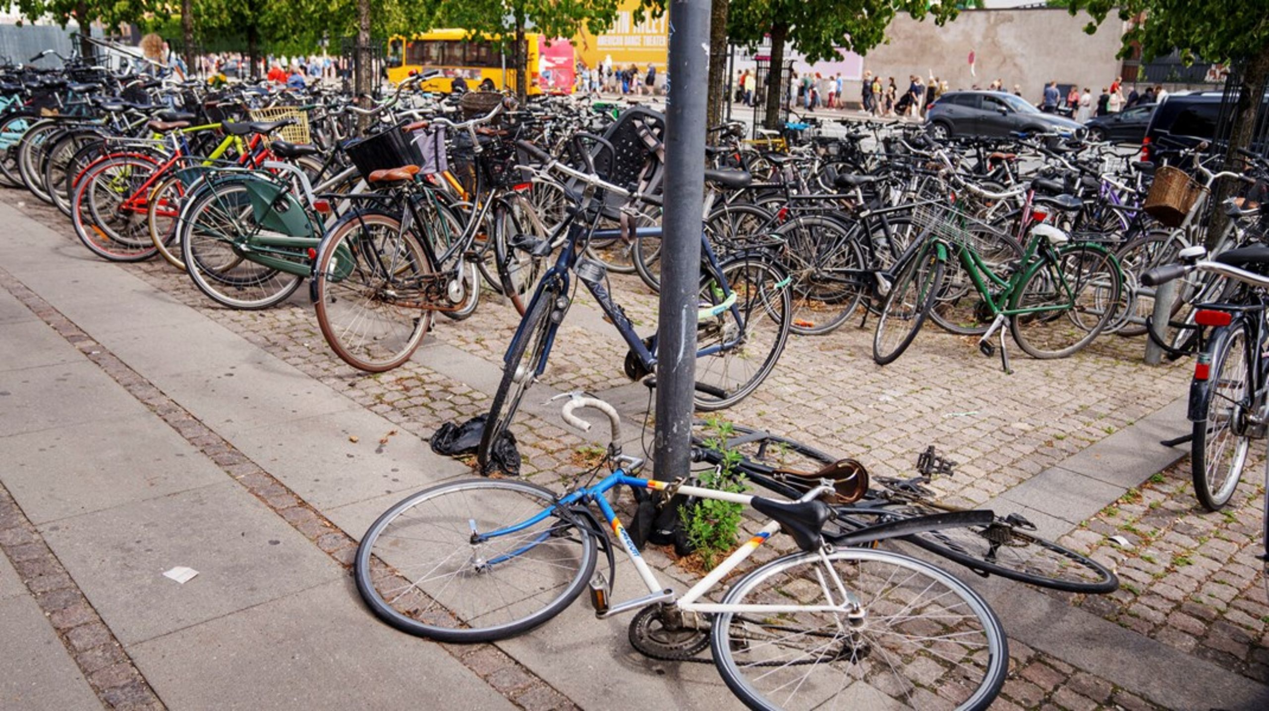 De mange nye cykelstativer, der bare synes at have skabt endnu flere ubrugte cykler i Middelalderbyen, de giver ikke flere kunder og liv, skriver Christopher Røhl (R).