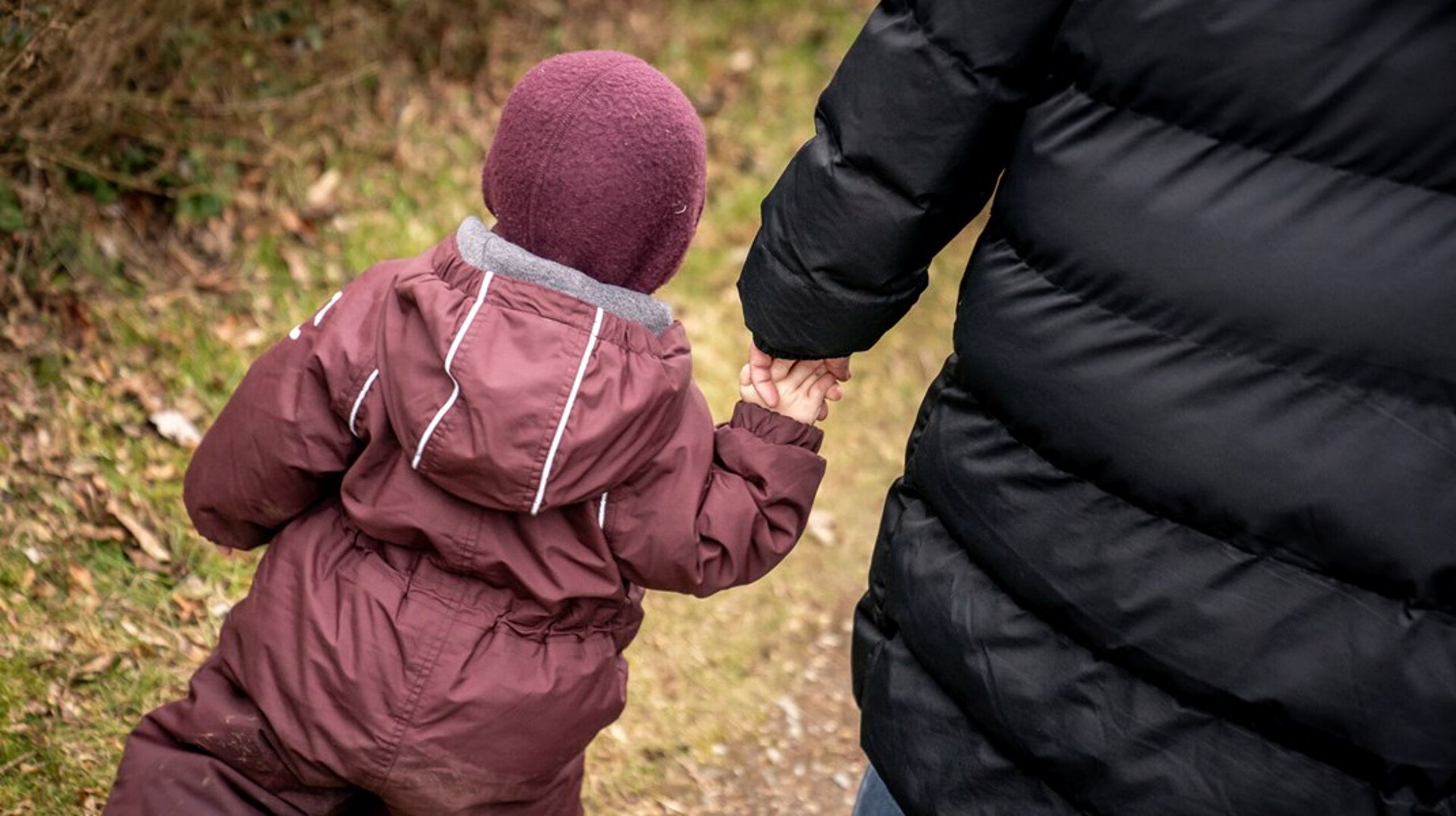 FamilieAlliancen finder ny direktør.