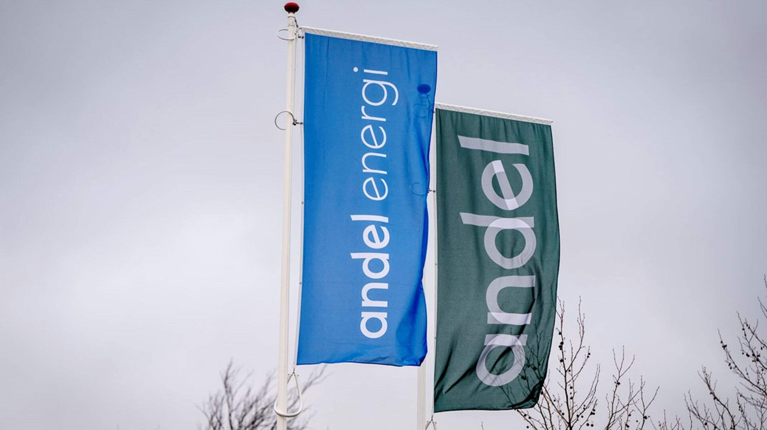 Andel bør egentlig ikke have noget at sige til et politisk spørgsmål, men de stempler ind i en debat om grønne energikilder,&nbsp;som de i allerhøjeste grad har økonomisk interesse i, skriver Wilhelm Ditlev Christian Thomsen.