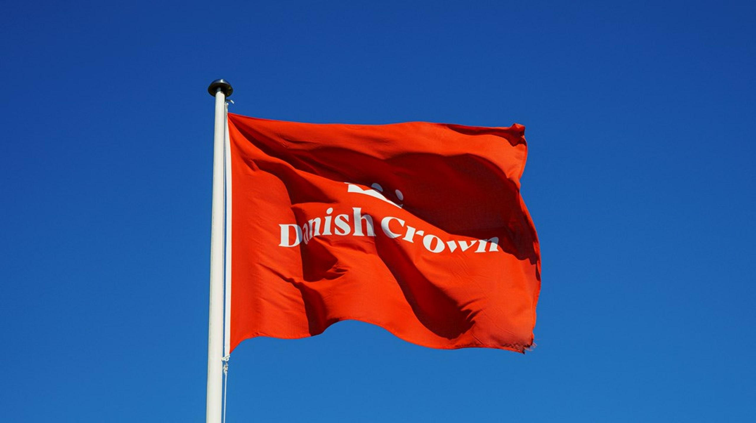 Anders Boecker tiltræder stillingen 1. august 2025.