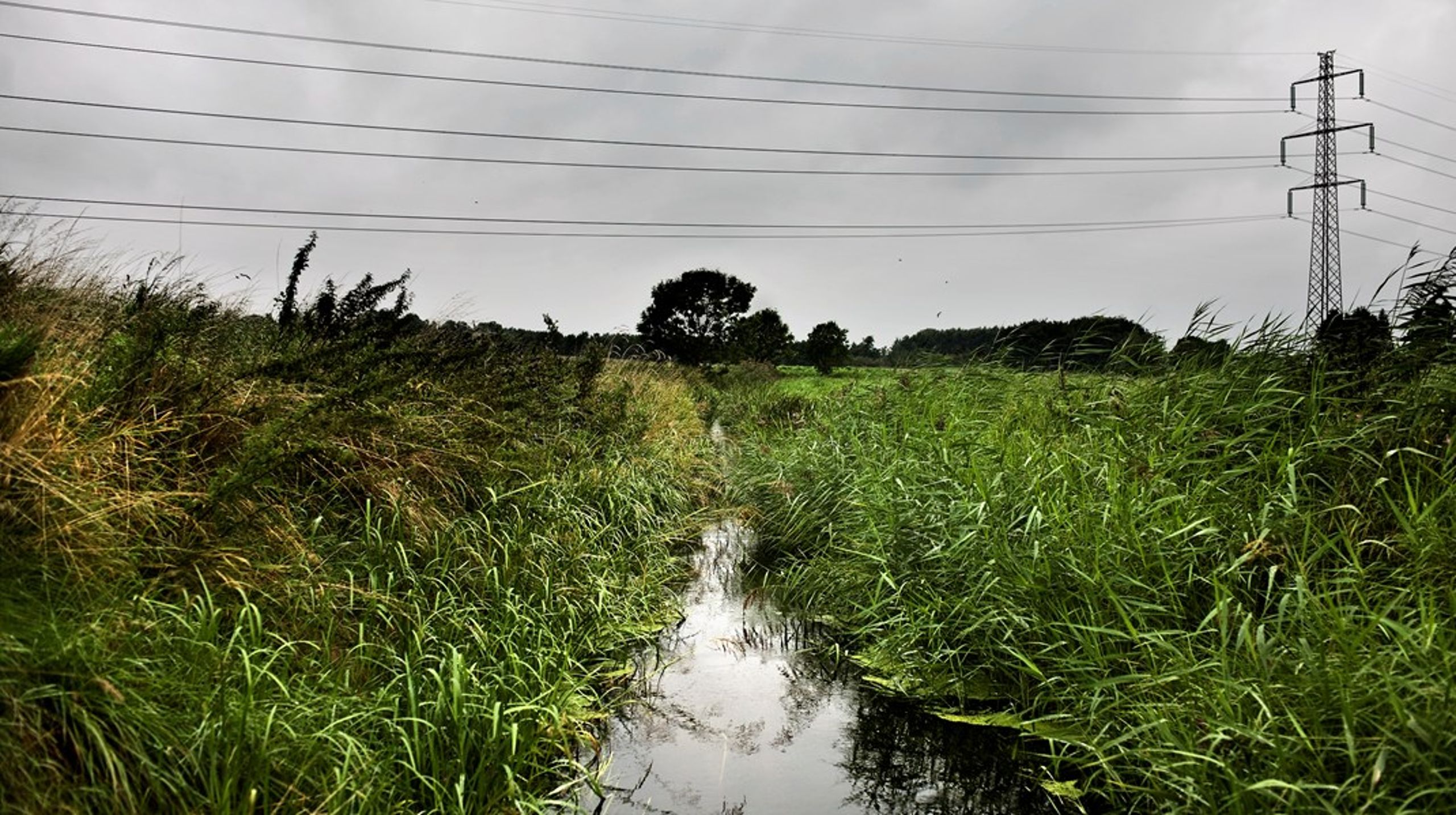 Når miljøorganisationer deltager, styrker det både retssikkerheden og beslutningernes kvalitet og legitimitet. De giver myndighederne et nødvendigt modspil og sikrer, at relevante hensyn bliver inddraget i miljøsager, skriver&nbsp;Kristina Overgaard Andersen, Nikolaj Nielsen og Helena Reumert Gjerding.