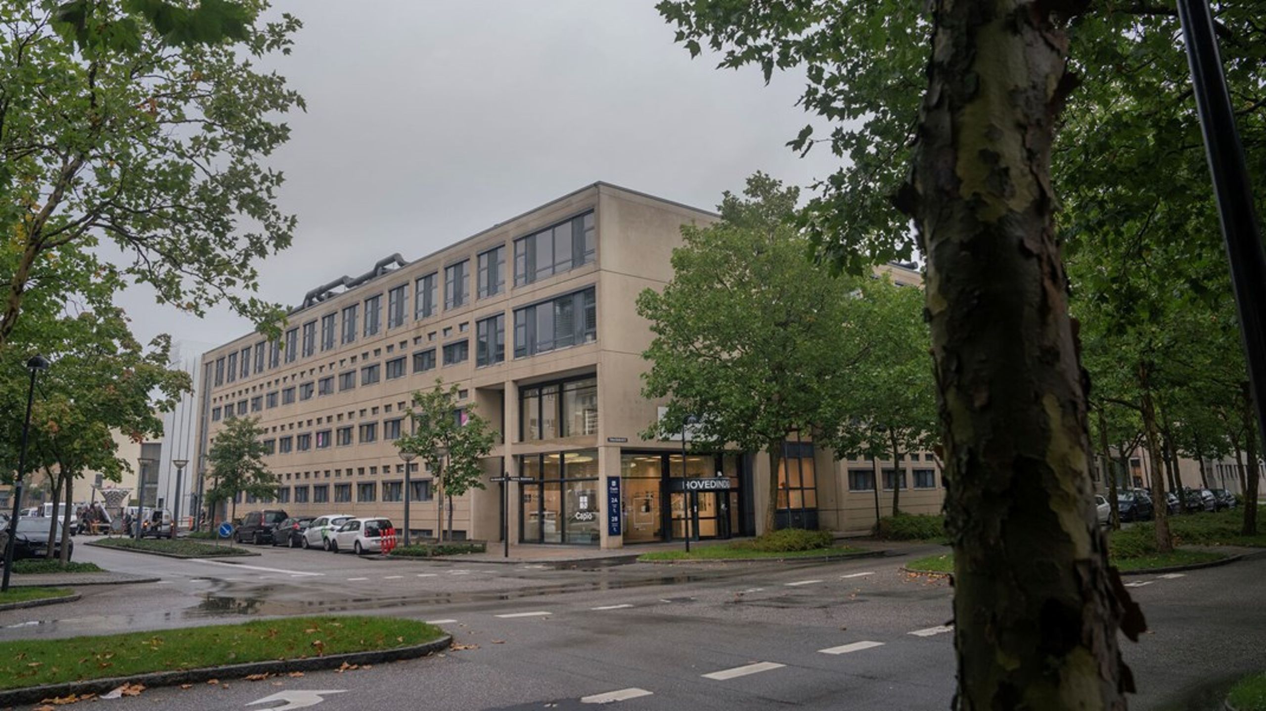 Privathospitalet Capio Danmark finder ny administrerende direktør.