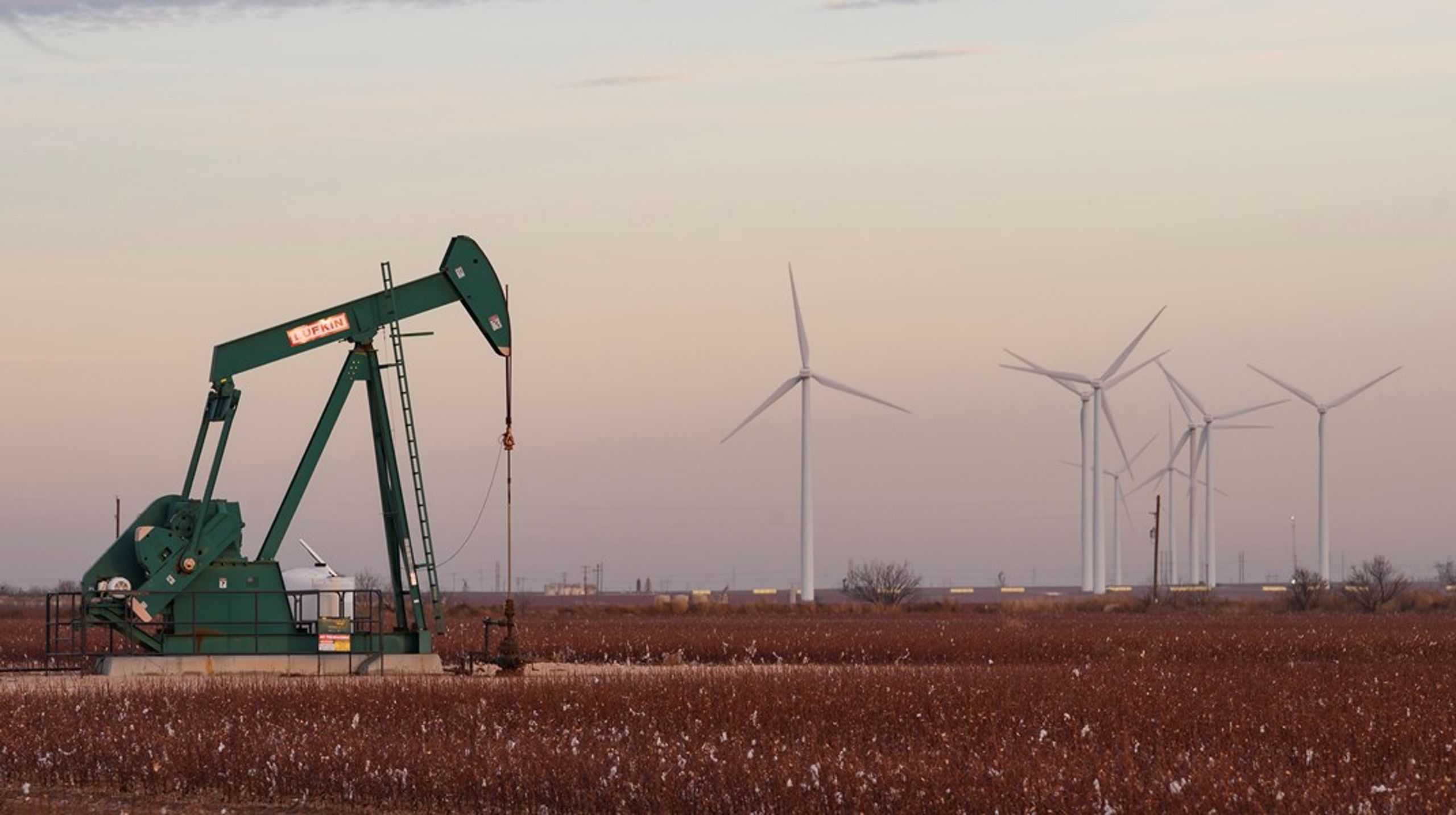 USA skal være mindre som venstreorienterede Californien og mere som den konservative oliestat Texas, der i de senere år er blevet USA's førende vedvarende energiproducent. Det mener to politiske kommentatorer på USA's demokratiske fløj, hvis nye bog er blevet en bestseller. Desværre skuffer bogen.