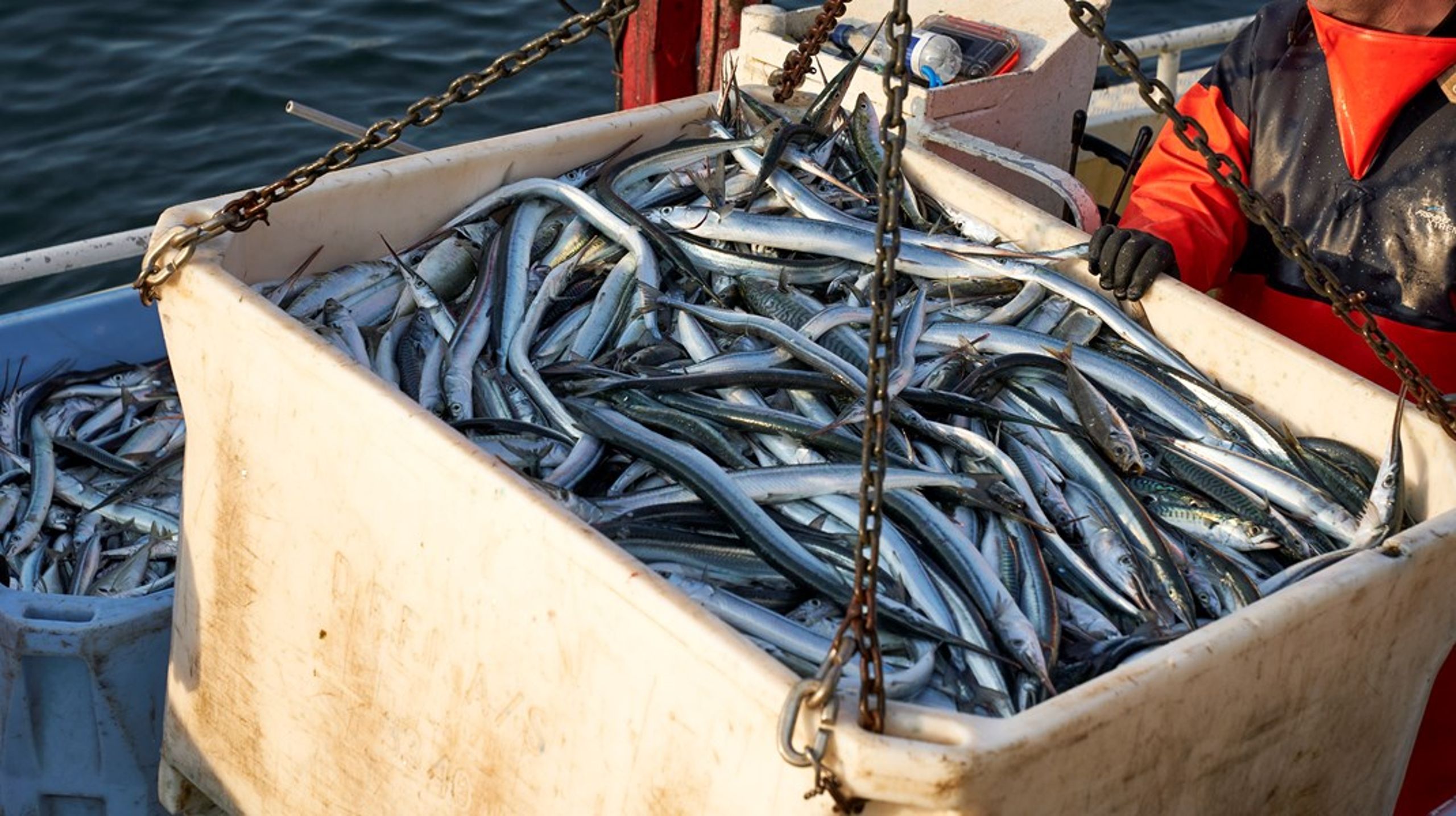 Danmark har besluttet at lave et stort trawlfrit område, der kommer til at dække 18,7 procent af det danske marine territorium&nbsp;– altså lige omtrent 19.000 kvadratkilometer, svarende til tre gange Sjællands areal, skriver Alexander Holm.&nbsp;