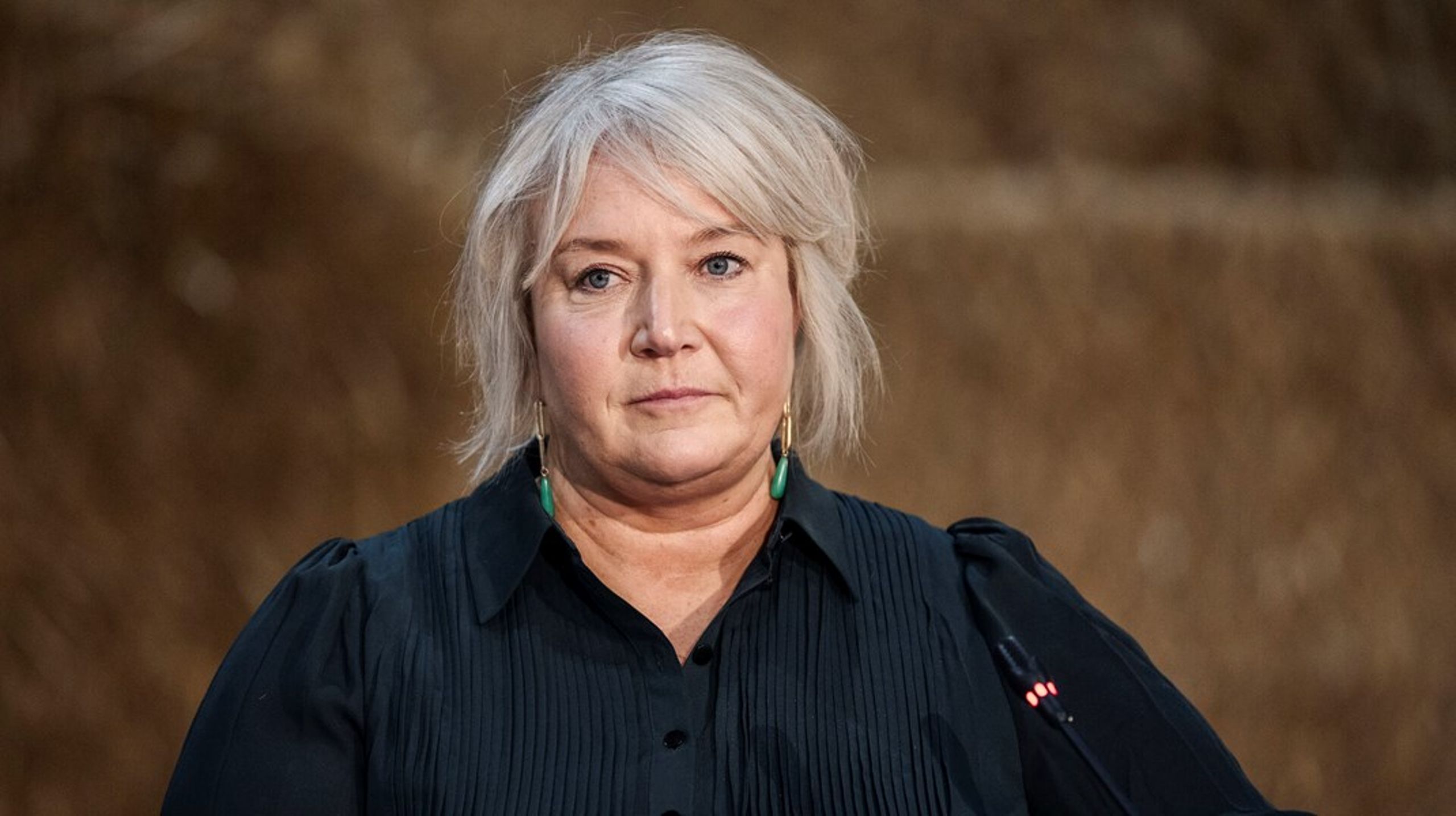 Det er hverken rimeligt eller klogt, at en erhvervsuddannelse kan være en forhindring for mere uddannelse - de skal ikke lukkes ude, men have de samme muligheder som professionsbachelorerne, skriver Lene Roed.