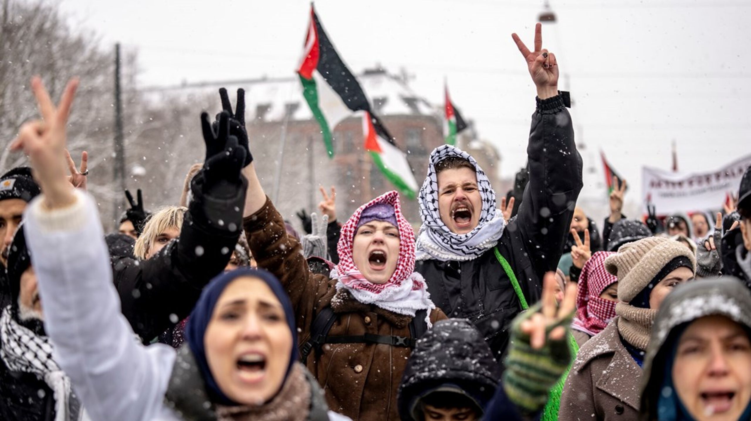 Den aktivistiske kommunikation og den politiske diskussion er ved en beklagelig fejl ved at fjerne farverne i verden, skriver Søren Søndergaard.