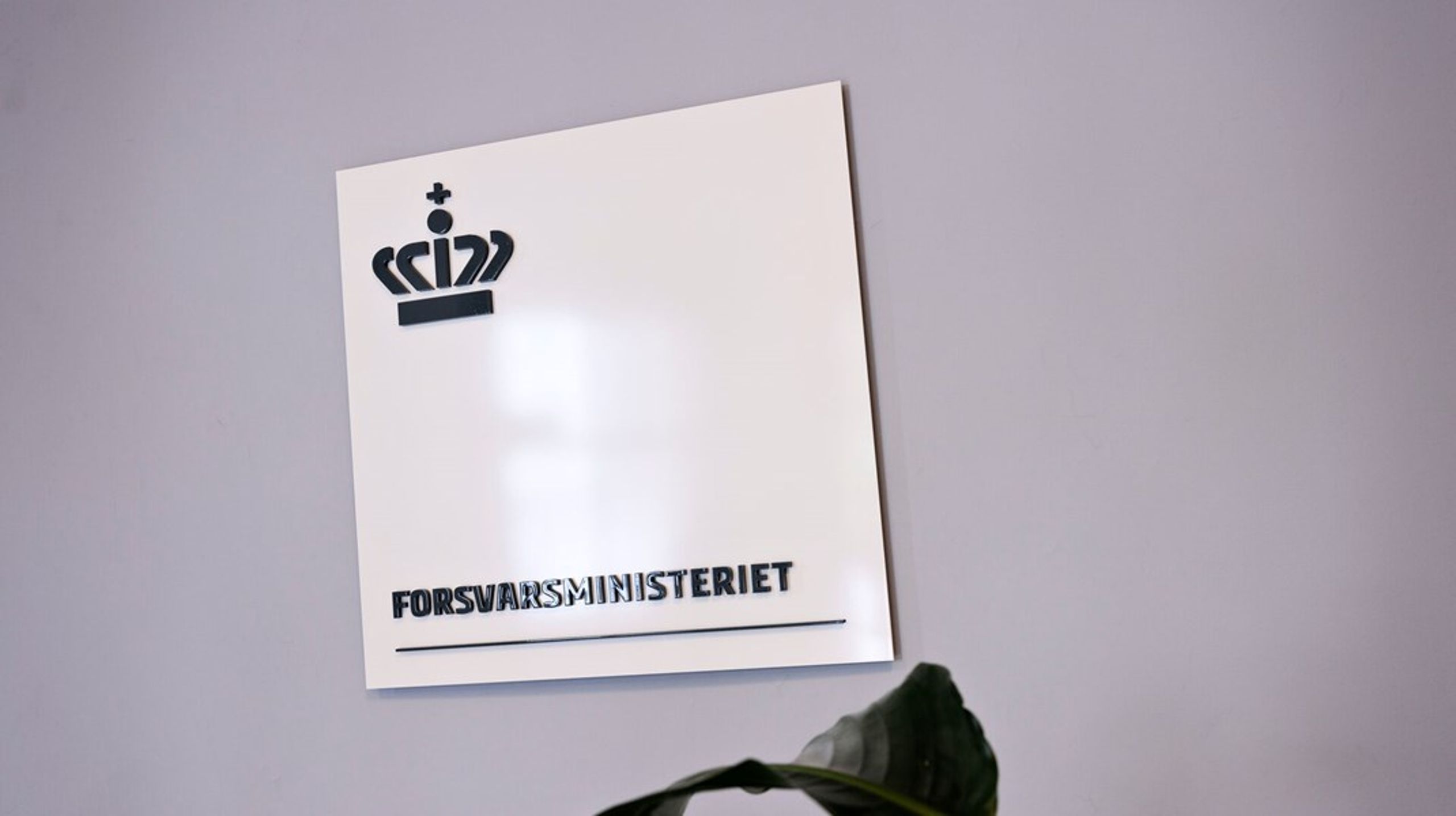 Anne Assenholm Nielsen starter i sin nye stilling 1. oktober.