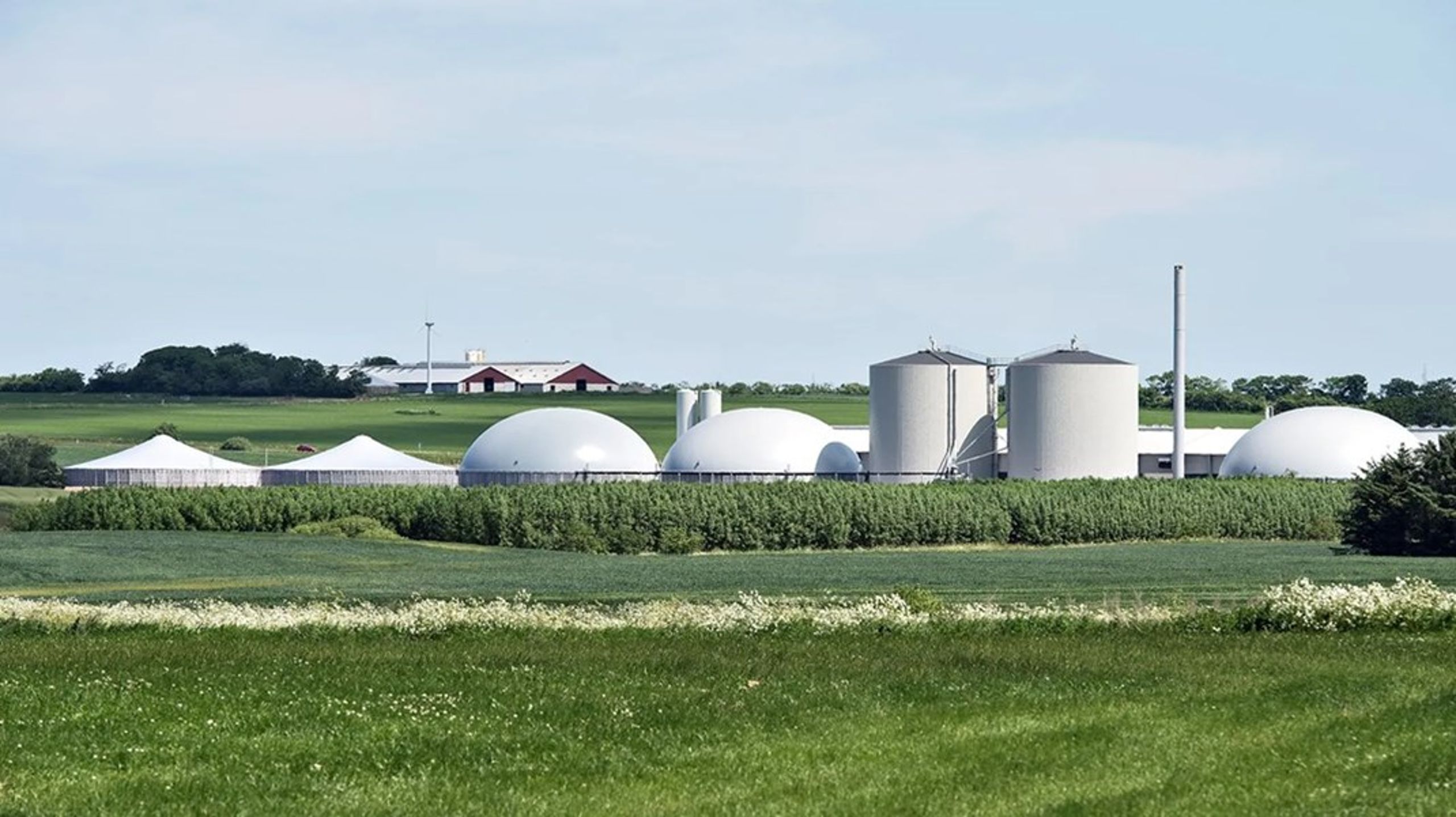 Jesper Jürgensen er ny kommunikationschef i Biogas Danmark.