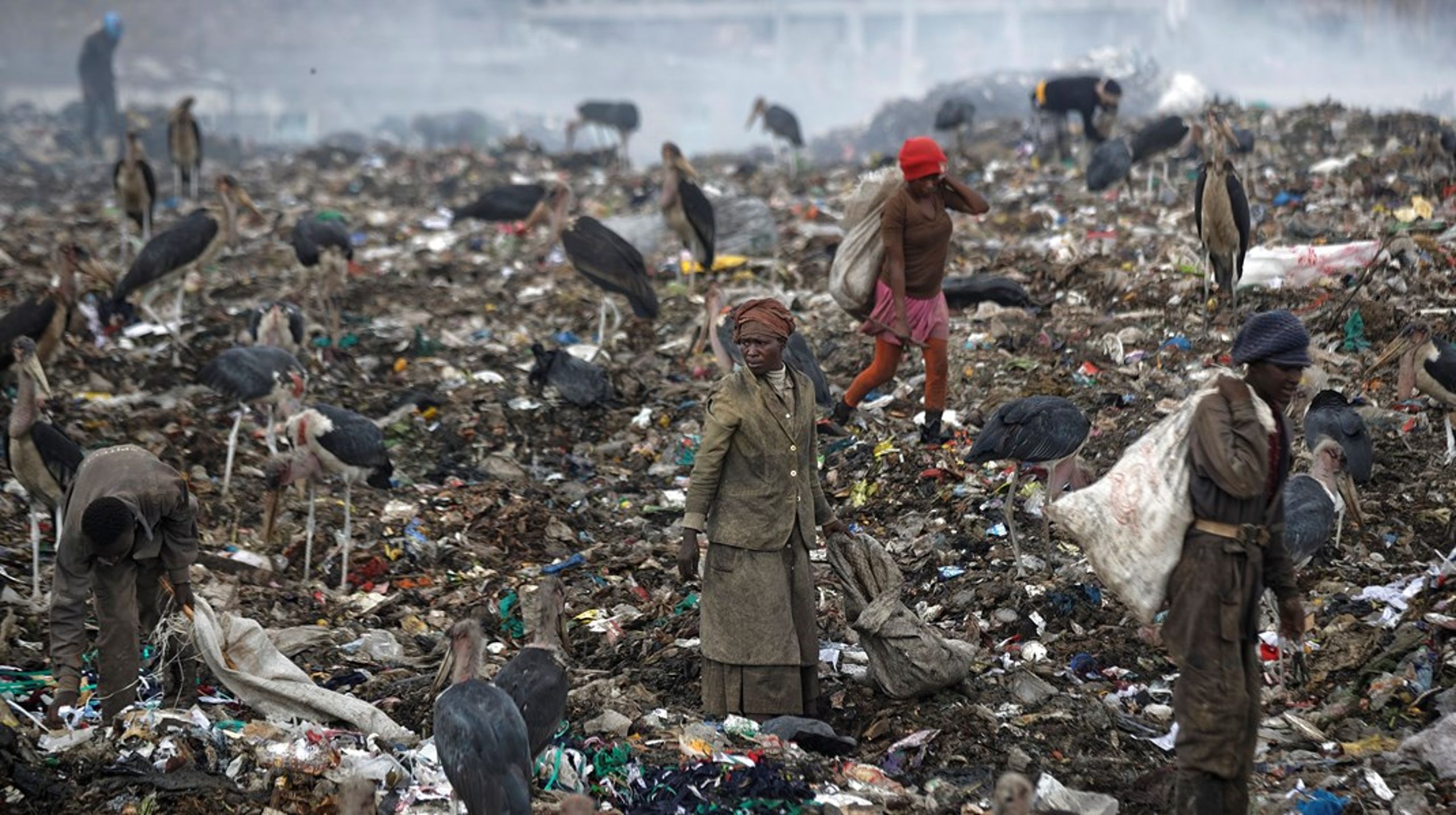Bestseller Foundation har blandt andet investeret i virksomheden Mr. Green,&nbsp;der har udviklet et system til indsamling og scanning af affald fra nogle af Kenyas enorme lossepladser med henblik på genbrug. Det giver samtidig indtægter til nogle af de mennesker, der lever af at samle affald på lossepladserne. Arkivfoto.&nbsp;