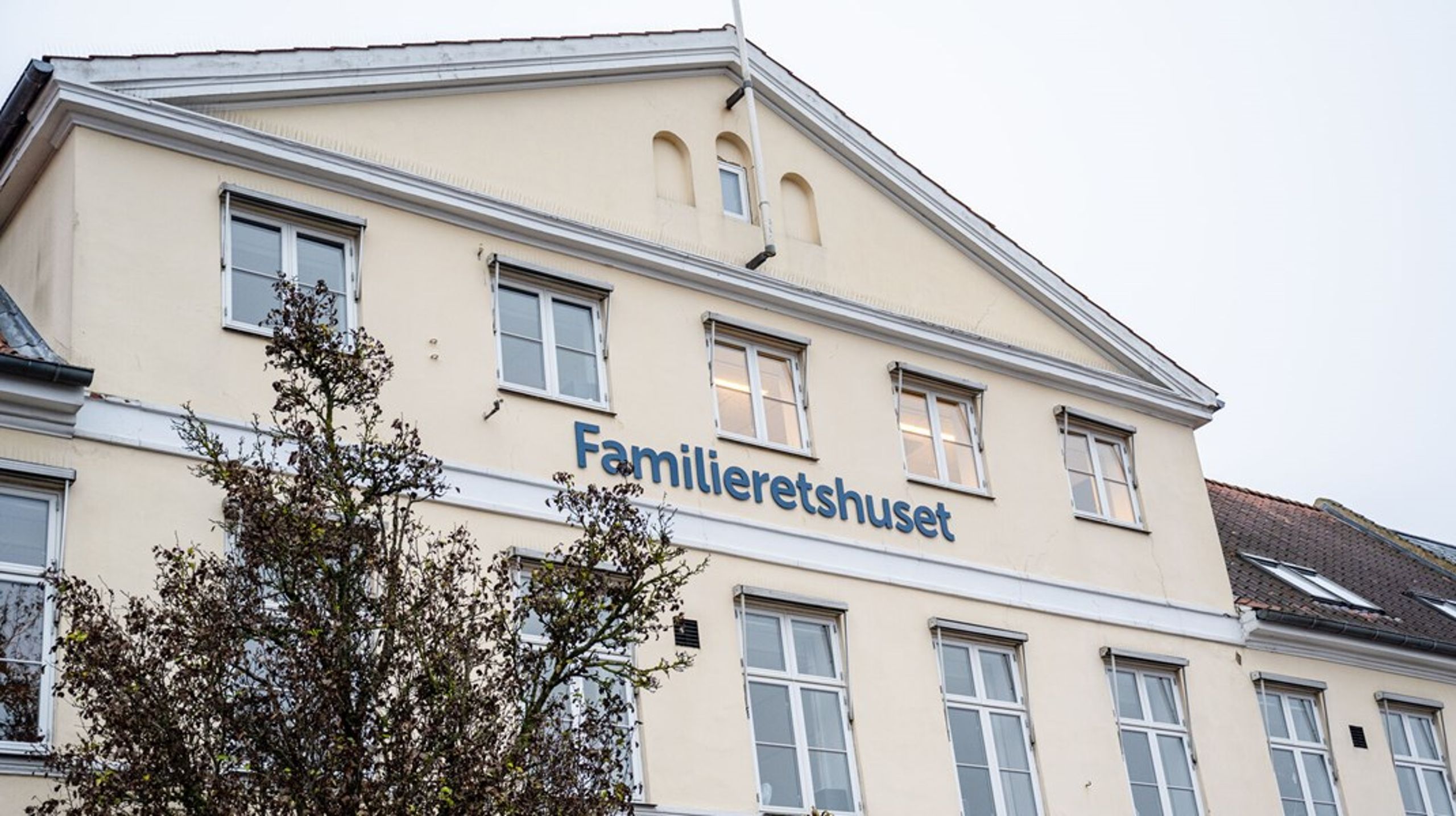 Vi opfordrer til, at der fastsættes en hovedregel om, at de pædagogisk-psykologisk sagkyndige skal være psykologer, skriver ti advokater.