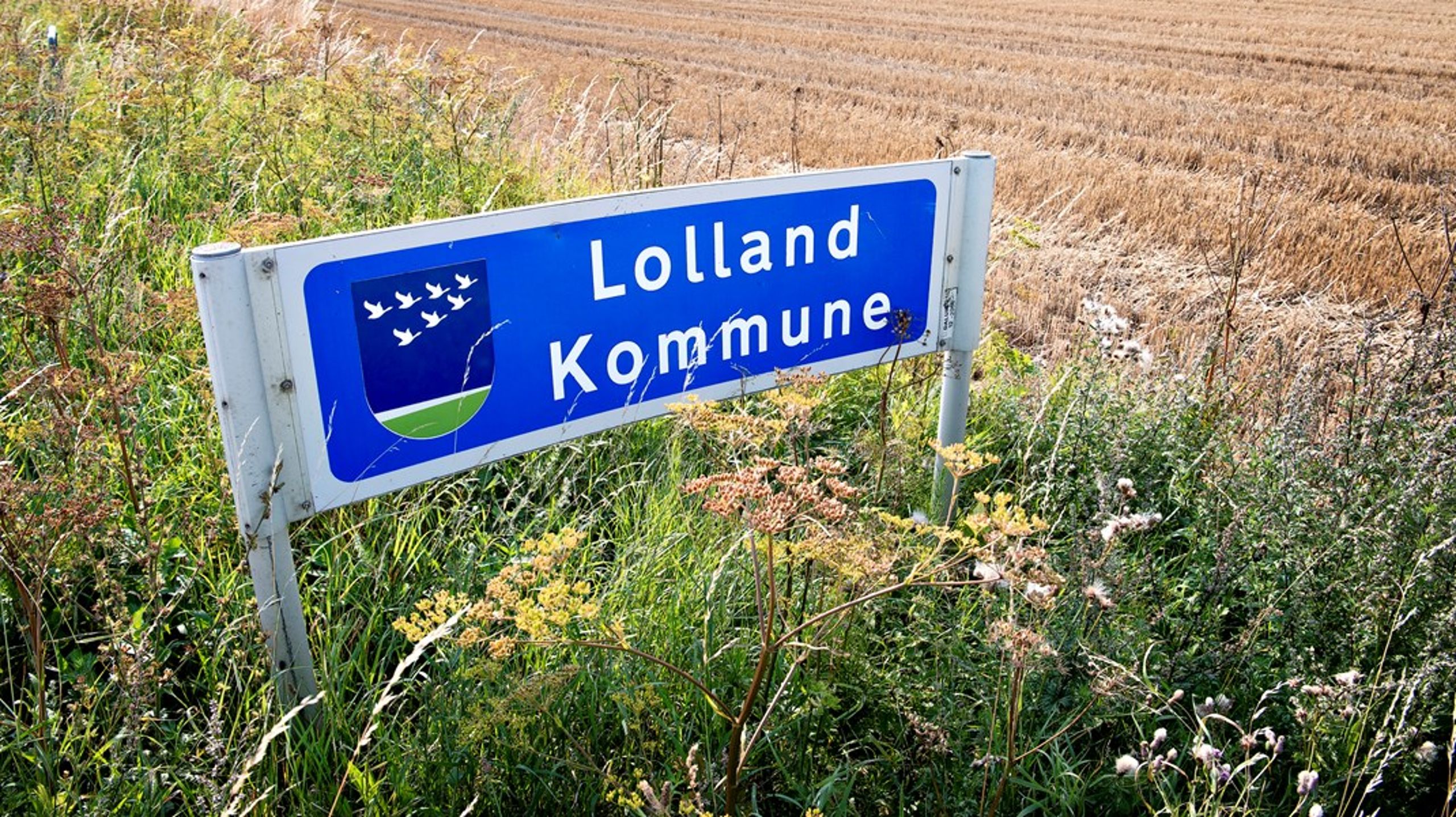 Solceller hører hjemme på tage, på parkeringsarealer og industriområder – ikke midt i den natur, der gør Lolland værd at leve i, skriver Frank Gravesen.