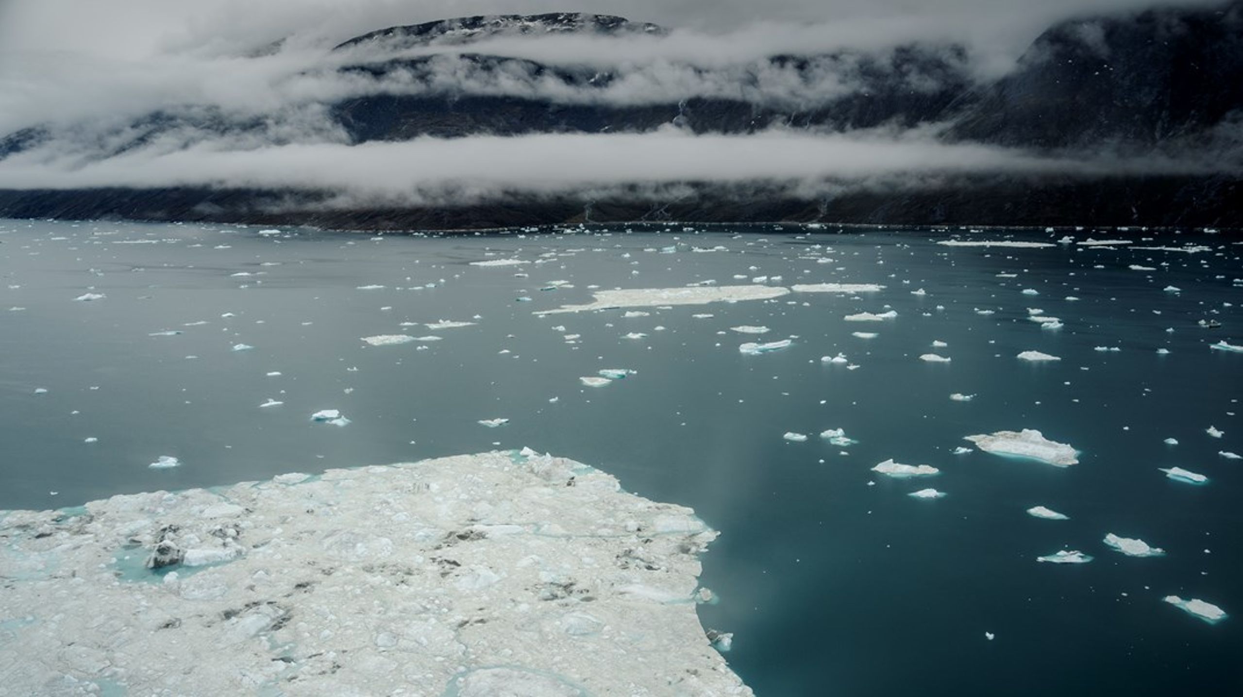 Søren Lorenzen Post og Malene Simon Hegelund tiltræder som afdelingschefer ved Grønlands Naturinstitut.