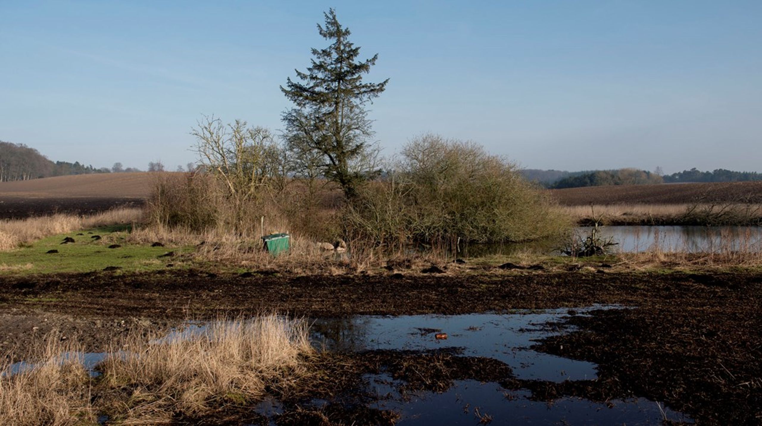 Grønne vand- og klimaprojekter hitter tilsyneladende i kommunerne, der har søgt om godt dobbelt så mange penge til projekter, som regeringen har afsat til i år.