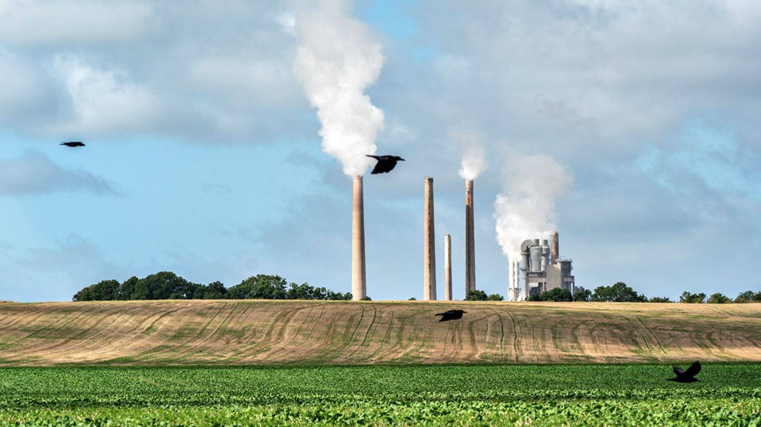 Selv om luftkvaliteten i Danmark er blevet bedre i de seneste årtier, er stort set alle danskere eksponeret for luftforurening i koncentrationer, der ligger over EU’s grænseværdier og er sundhedsskadelige, skriver Zorana Jovanovic Andersen,&nbsp;Steffen Loft og&nbsp;Marie Pedersen.