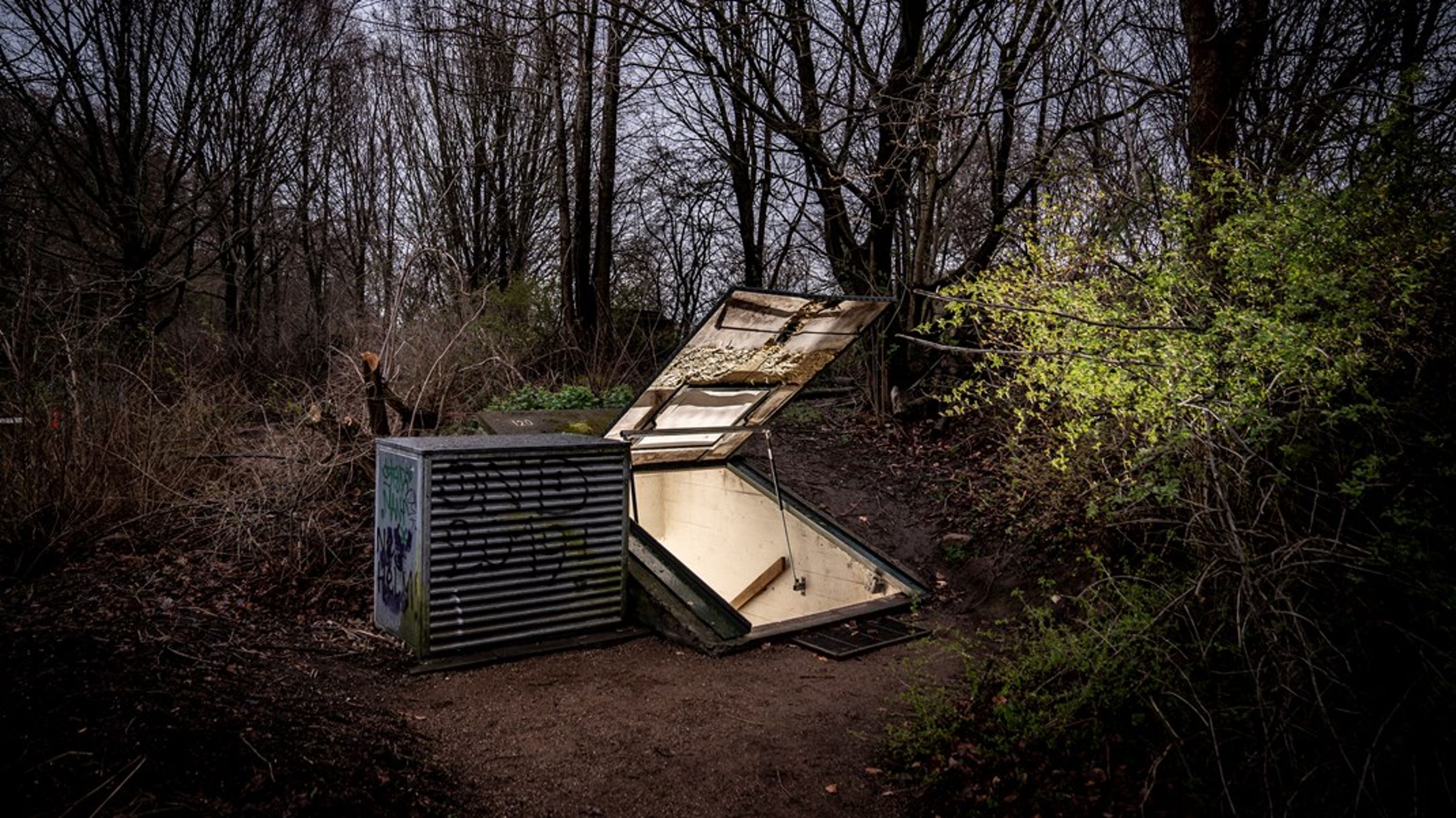 I slutningen af oktober indledte myndighederne et eftersyn af de eksisterende beskyttelsesrum i seks udvalgte kommuner, herunder Bornholms Regionskommune. Selvom beredskabsminister Torsten Schack Pedersen (V) understreger, at der ikke er en konkret militær trussel mod Danmark, har ministeren alligevel bedt om at få overblik over landets beskyttelsesrum. Billedet er et beskyttelsesrum i København.