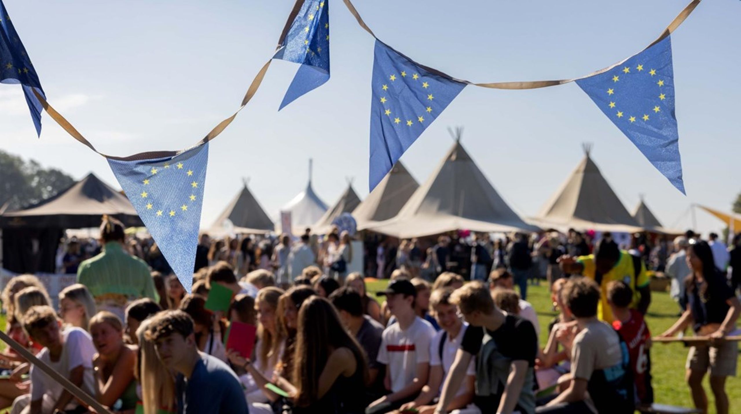 EU og EØS bliver næsten ikke nævnt i den norske undervisning, og EØS, EFTA og EU er fortsat ikke en del af kompetencemålene i den norske grundskole, skriver&nbsp;Agnes Lenz Mathiasen.