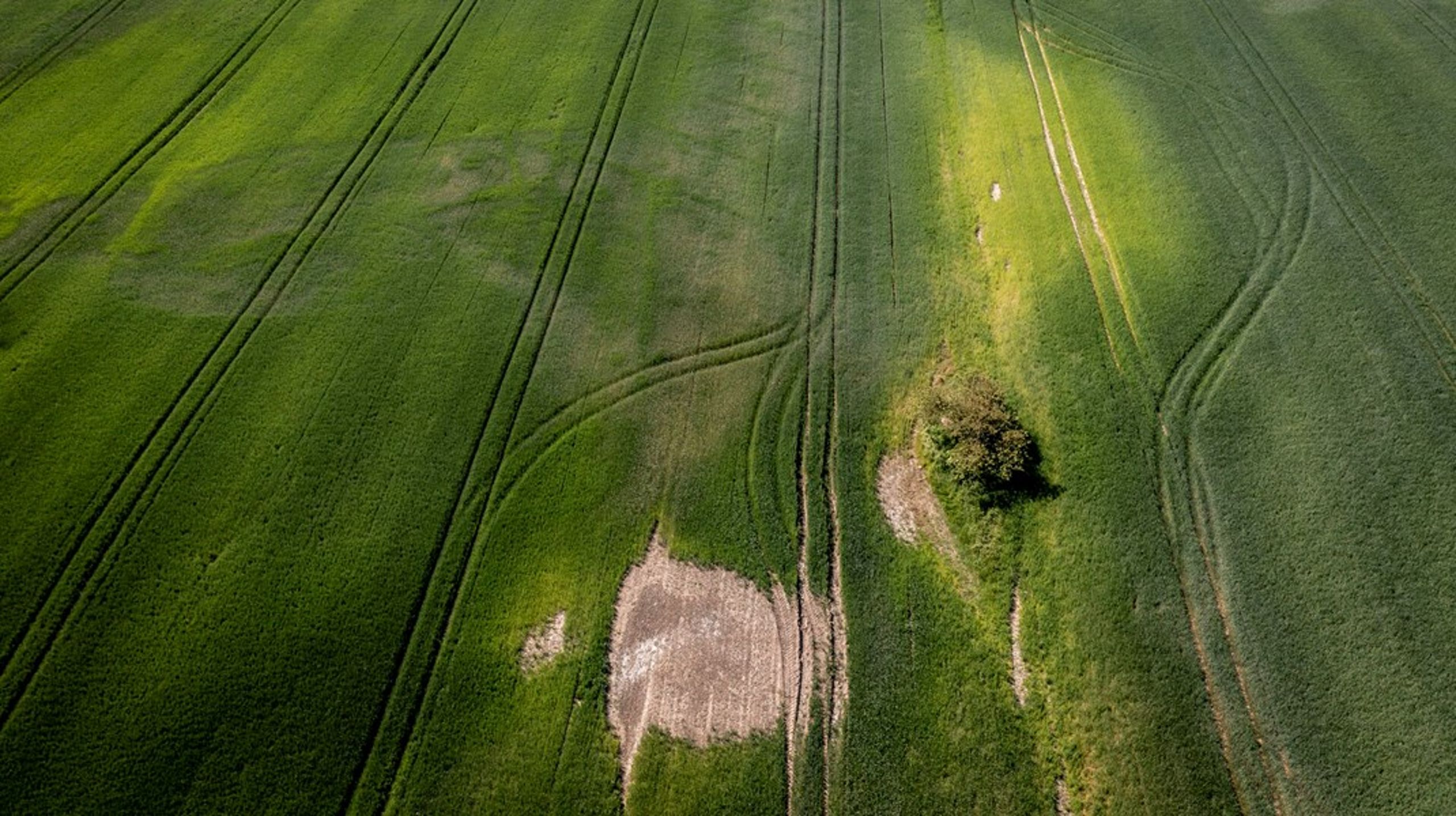 EU-landene skal&nbsp; “sikre eller genoprette” en god naturtilstand. Tilstanden må ikke blive forringet. Det konkluderer regeringens egen indberetning til EU imidlertid selv, er tilfældet, skriver 15 grønne organisationer.<br>