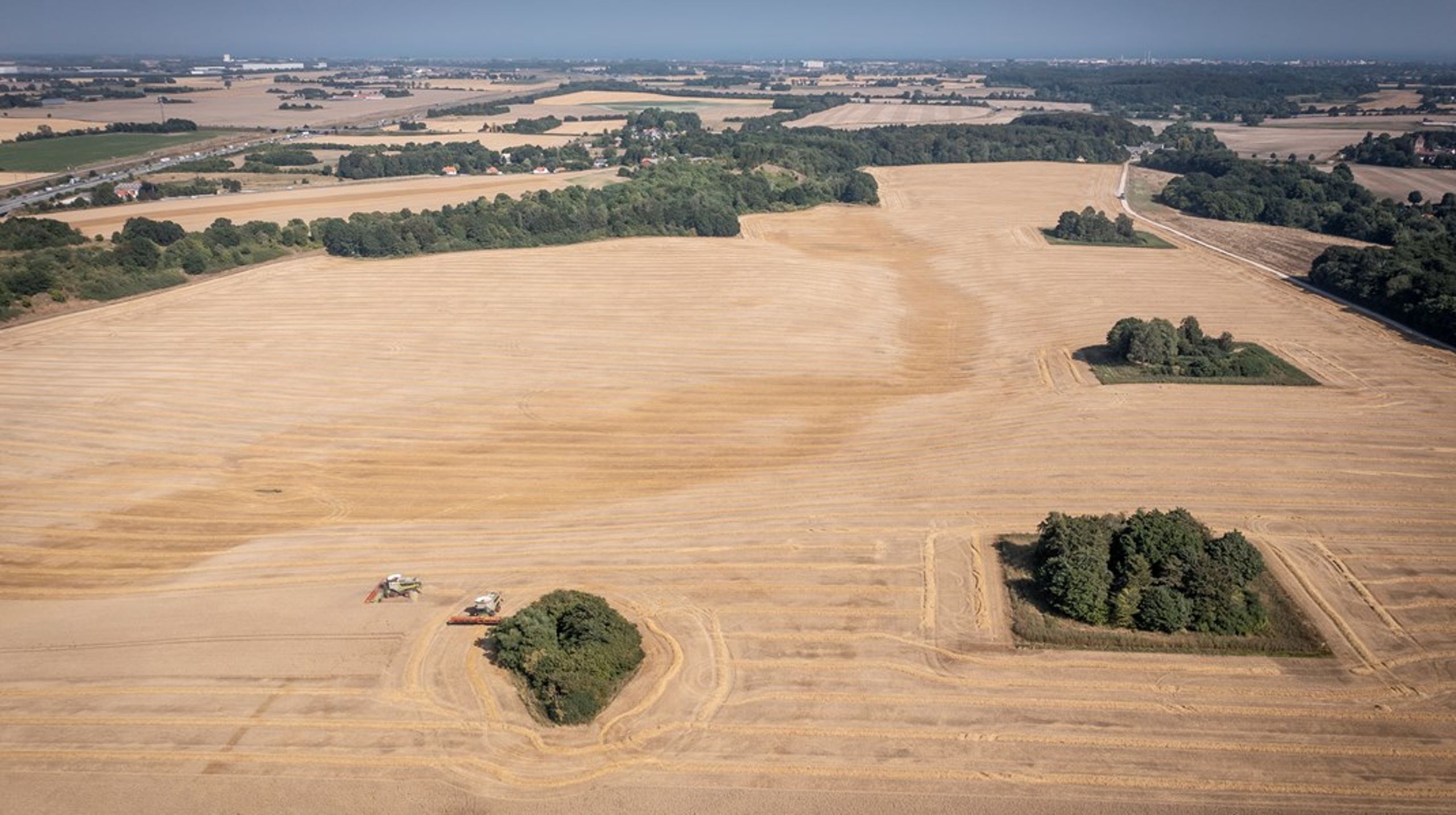 Staten bør ikke agere som en stor investor på landbrugsmarkedet, men som en ansvarlig aktør, der understøtter et sundt og bæredygtigt ejermarked, skriver&nbsp;Christian Orthmann Andersen.