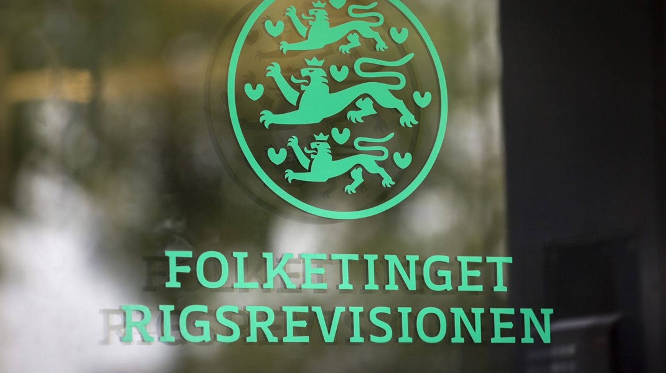 Søren Vadskjær Skyum træder ind som den ene af to afdelingschefer i afdelingen for revision af offentlige regnskaber.