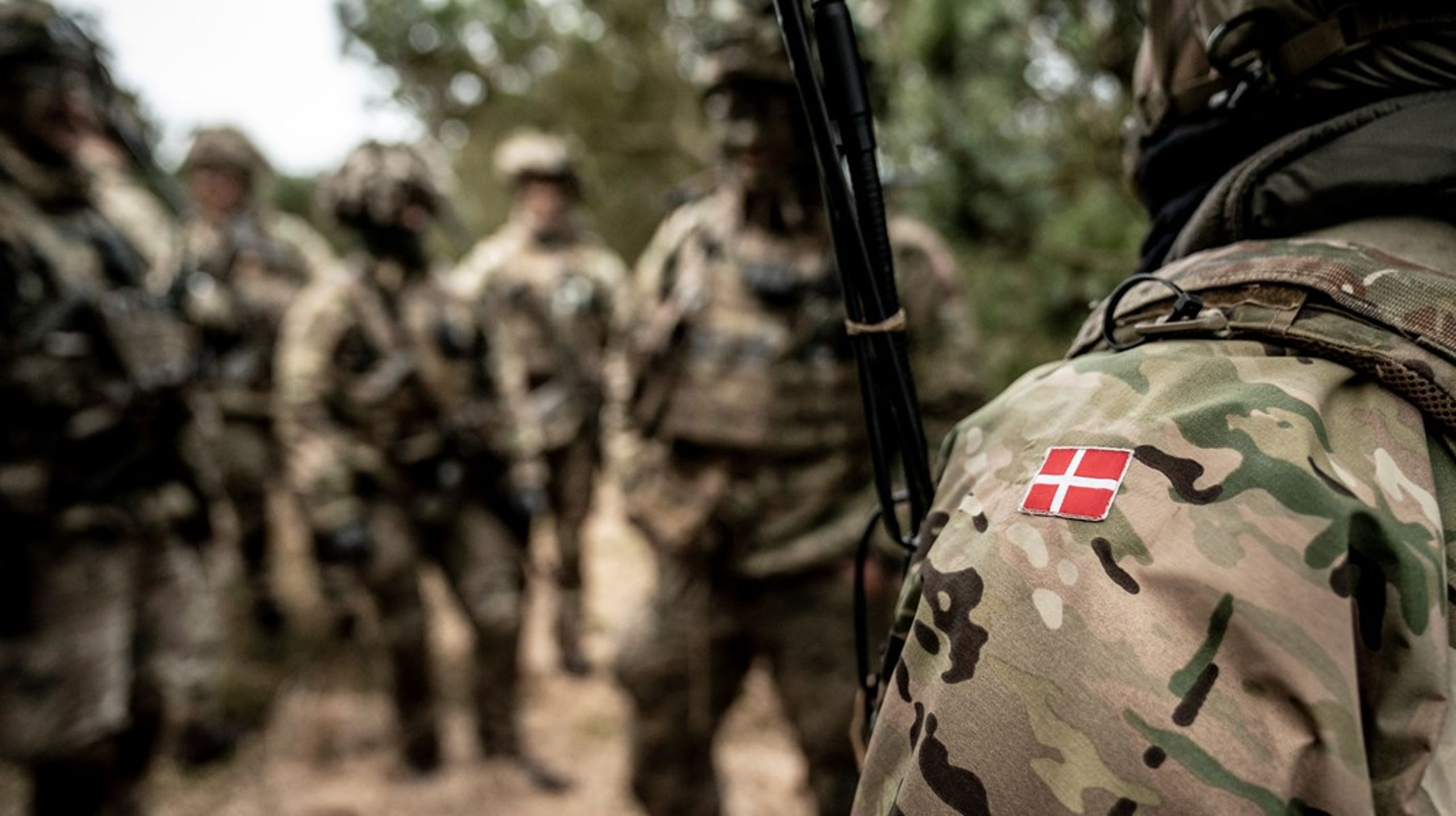 <b></b>Aftalen indebærer, at Finans Danmark understøtter virksomheder som dels tilslutter sig InterForce som støtte- eller medlemsvirksomhed og dels forpligter sig til at give medarbejdere i reservestyrken minimum fem årlige fridage med løn.