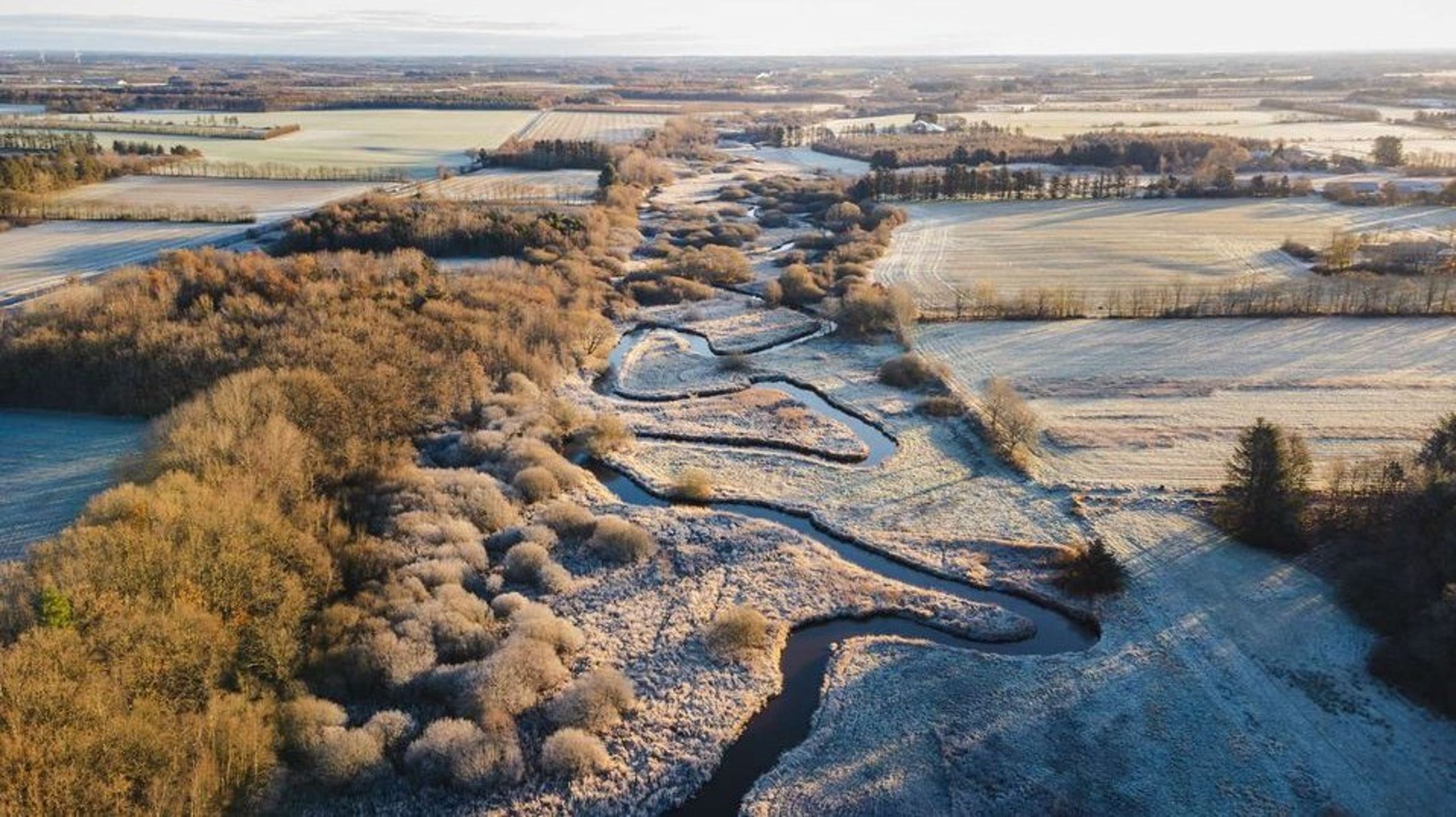 Det er blandt andet området omkring Ansager Å, hvor biodiversiteten bliver styrket.