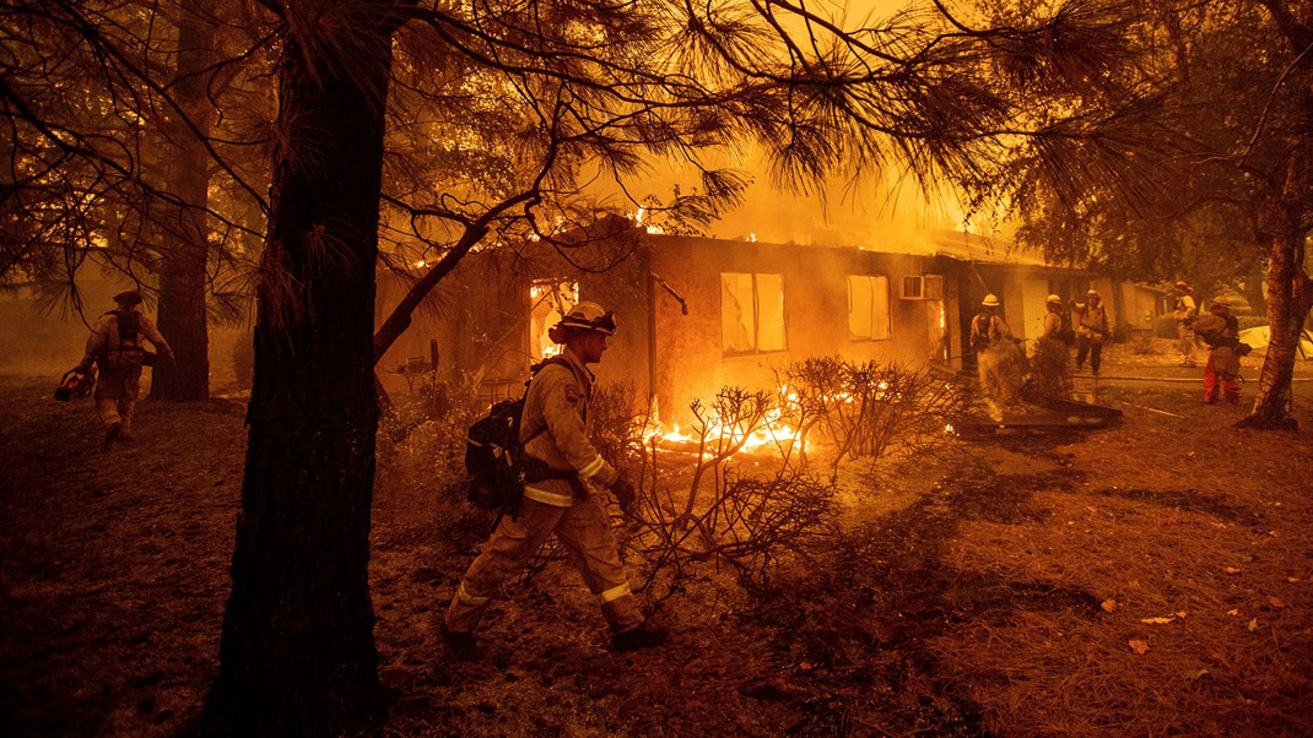 I Californien diskuterer man&nbsp;i kølvandet på de voldsomme skovbrande tidligere på året, om det overhovedet vil være muligt at forsikre sine huse fremover. Det er i sådanne tilfælde, at det antropocæne for alvor bliver konkret, skriver&nbsp;Mads Ejsing.