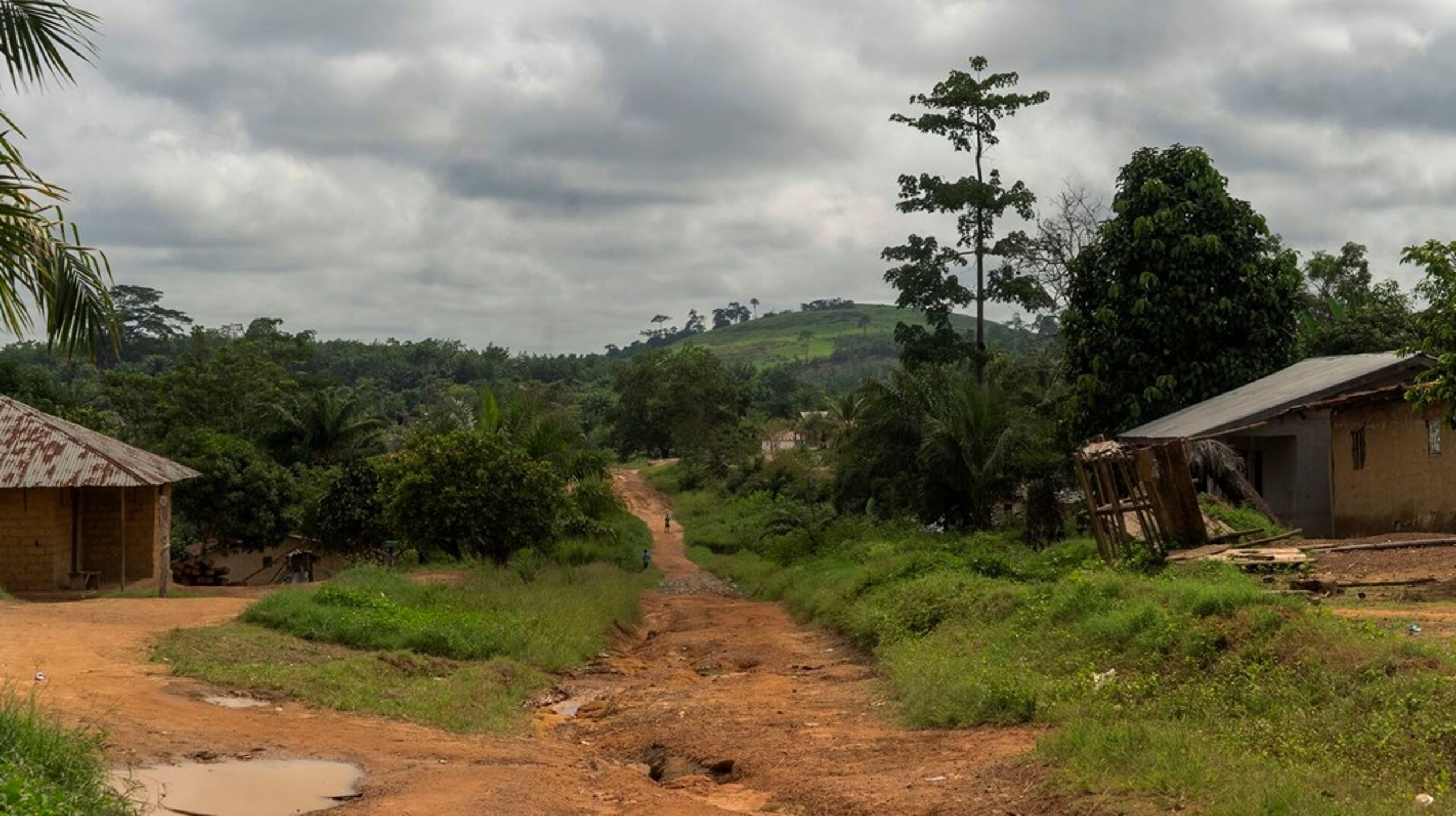 Sverige lukker blandt andet sin ambassade i Liberia for at finde flere penge til Ukraine.