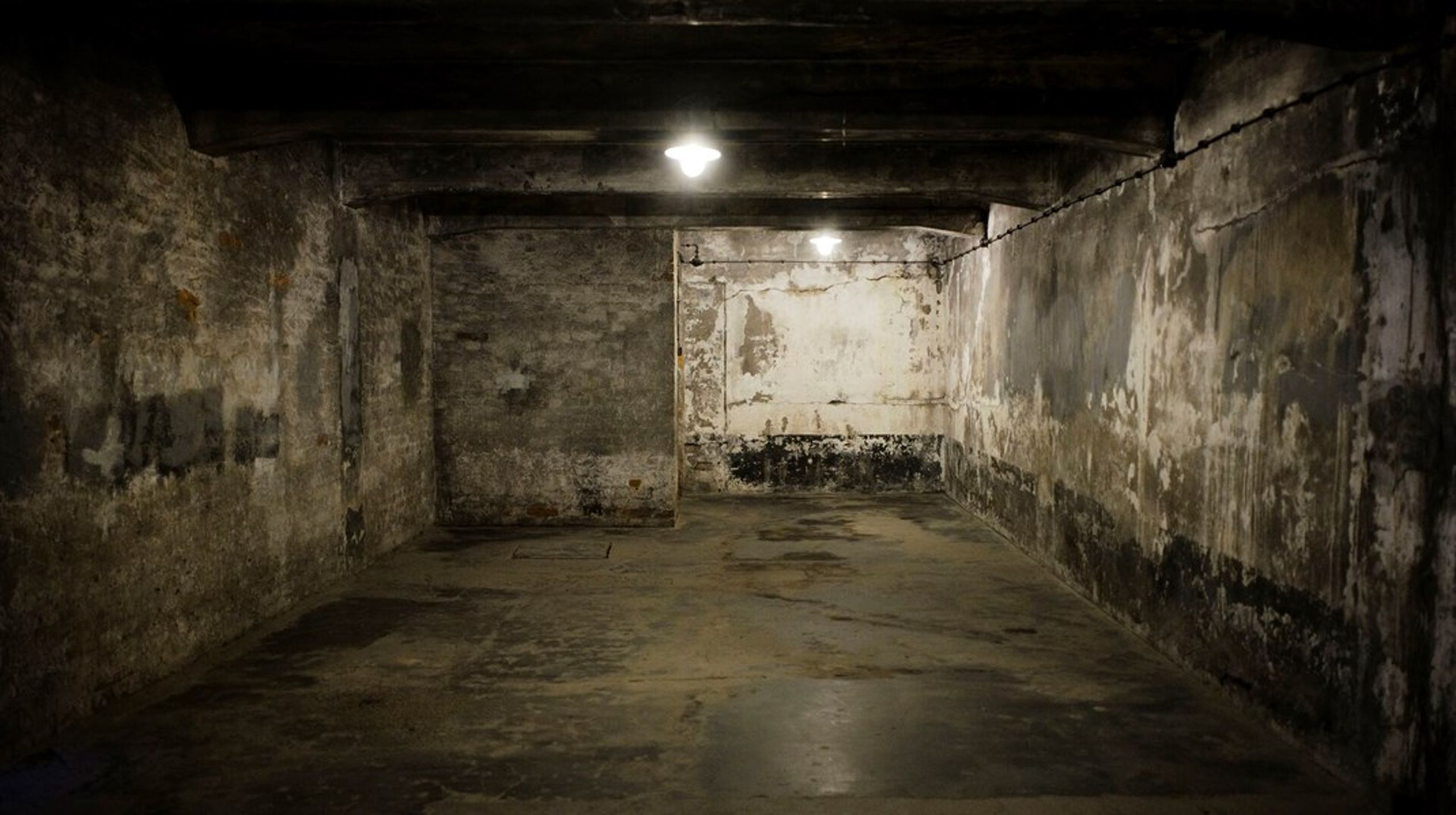 Under begge mine to første besøg til Auschwitz-Birkenau&nbsp;stod jeg pludselig med vildt fremmede kvinder om halsen. De kunne ikke holde ud at se ondskabens virkelighed. Det er kun menneskeligt at bryde sammen i Auschwitz, skriver Peter Skov-Jakobsen.